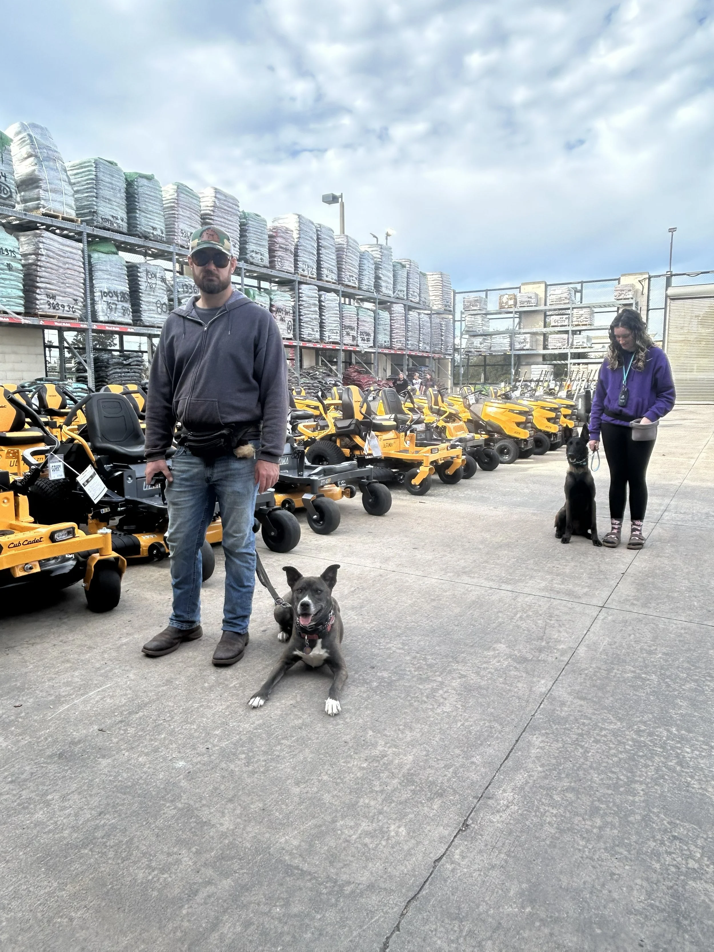 Copy of Adventure dog at hd .jpg