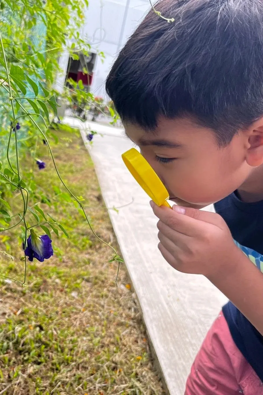 Boy_holding_magnifying_glass_observing_flower
