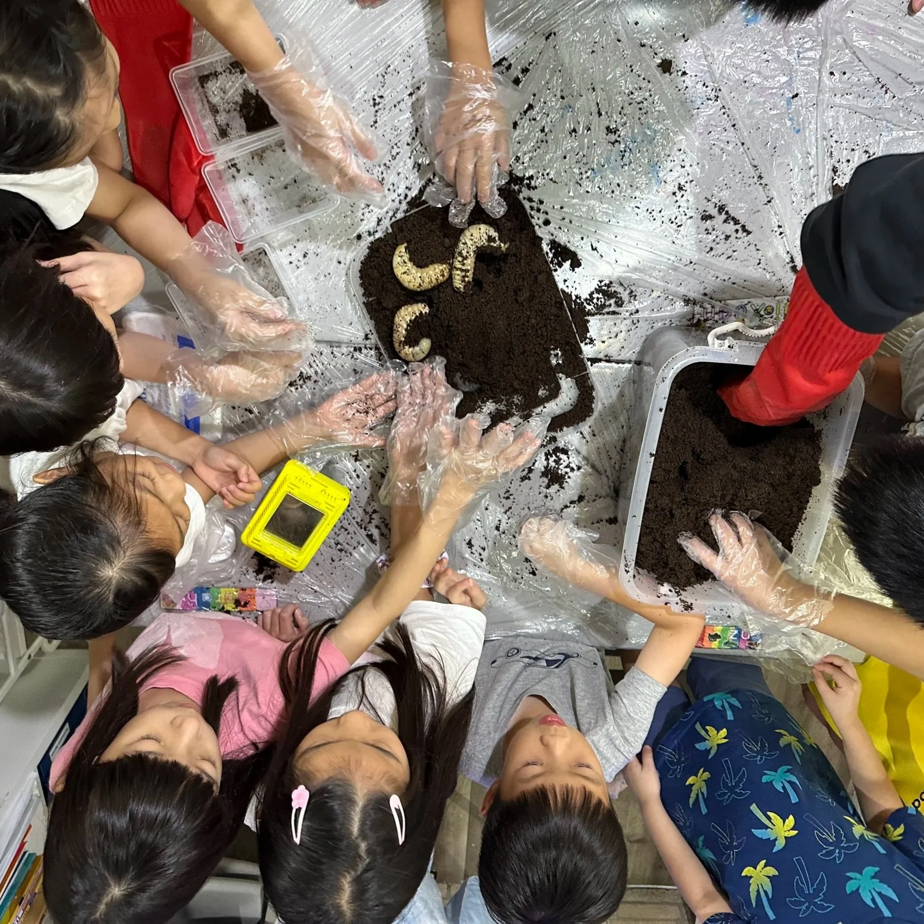 Students participating in an applied learning STEM workshop aligned with school enrichment programmes