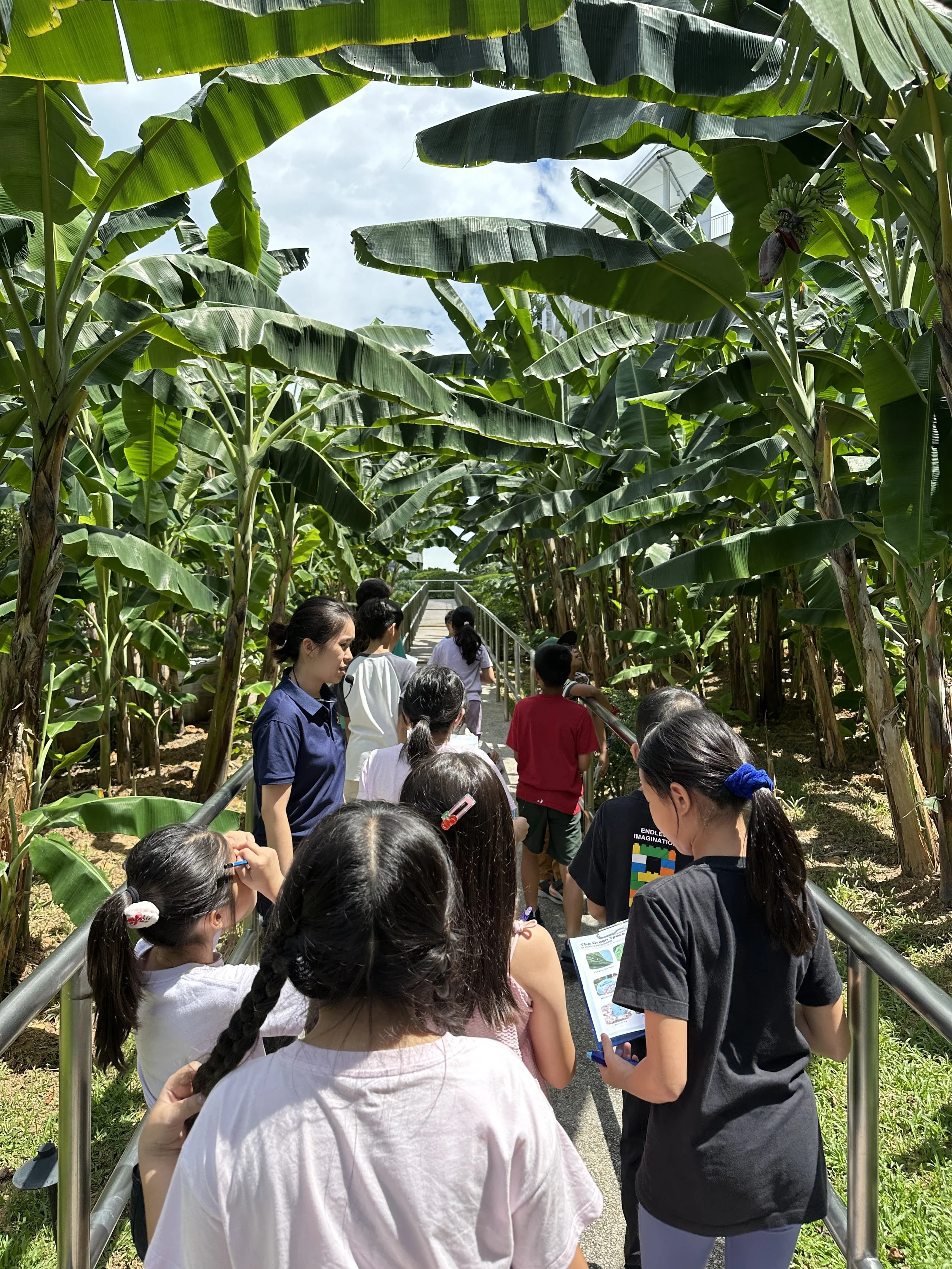 Students working on sustainability-focused STEM projects during a school programme