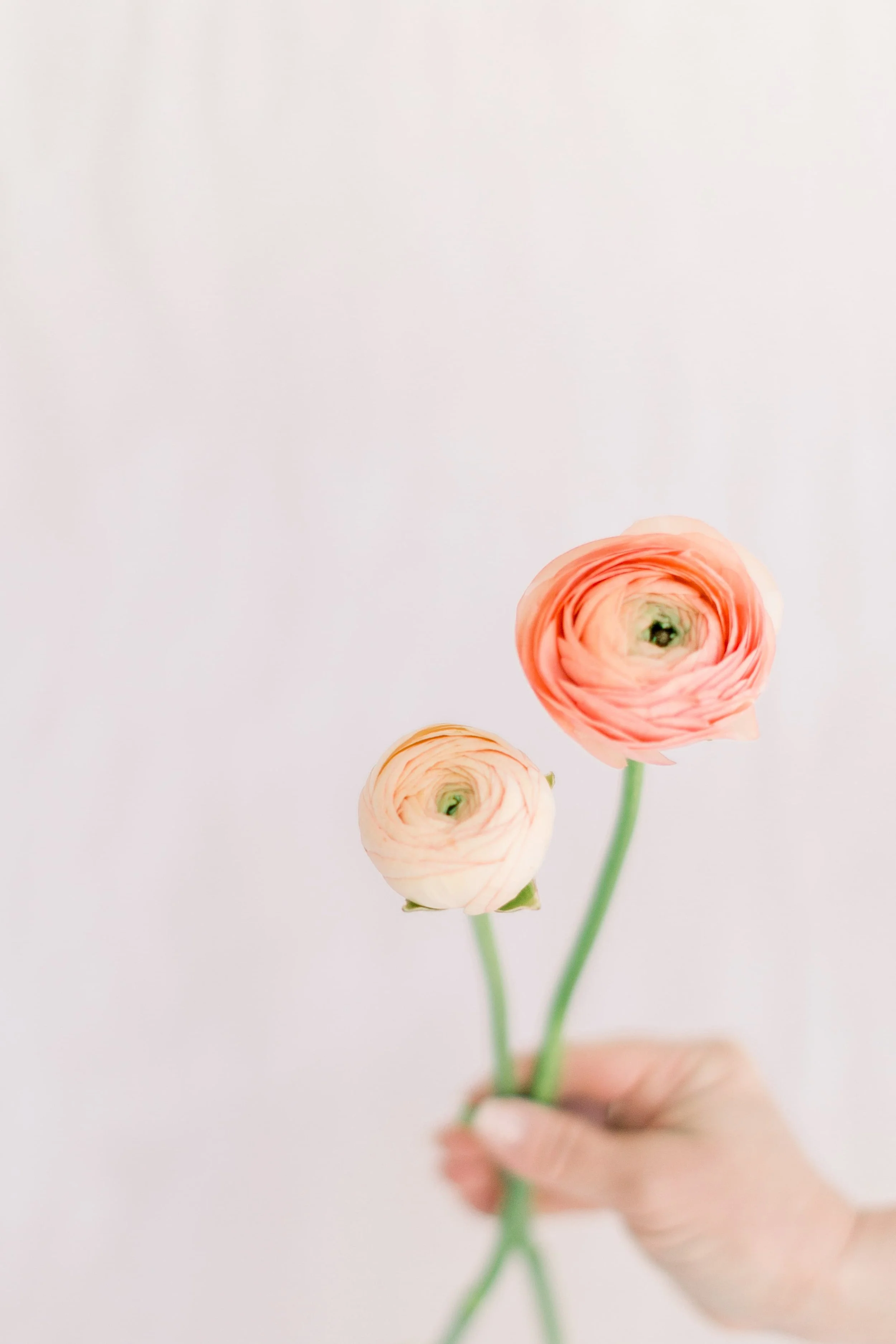 Twig & Bloom floral studio creating romantic, elegant flower arrangements for Calgary and surrounding area. Twig & Bloom Calgary offers premium floral design and delivery, specializing in wedding florals, event flowers, and arrangements for everyday 