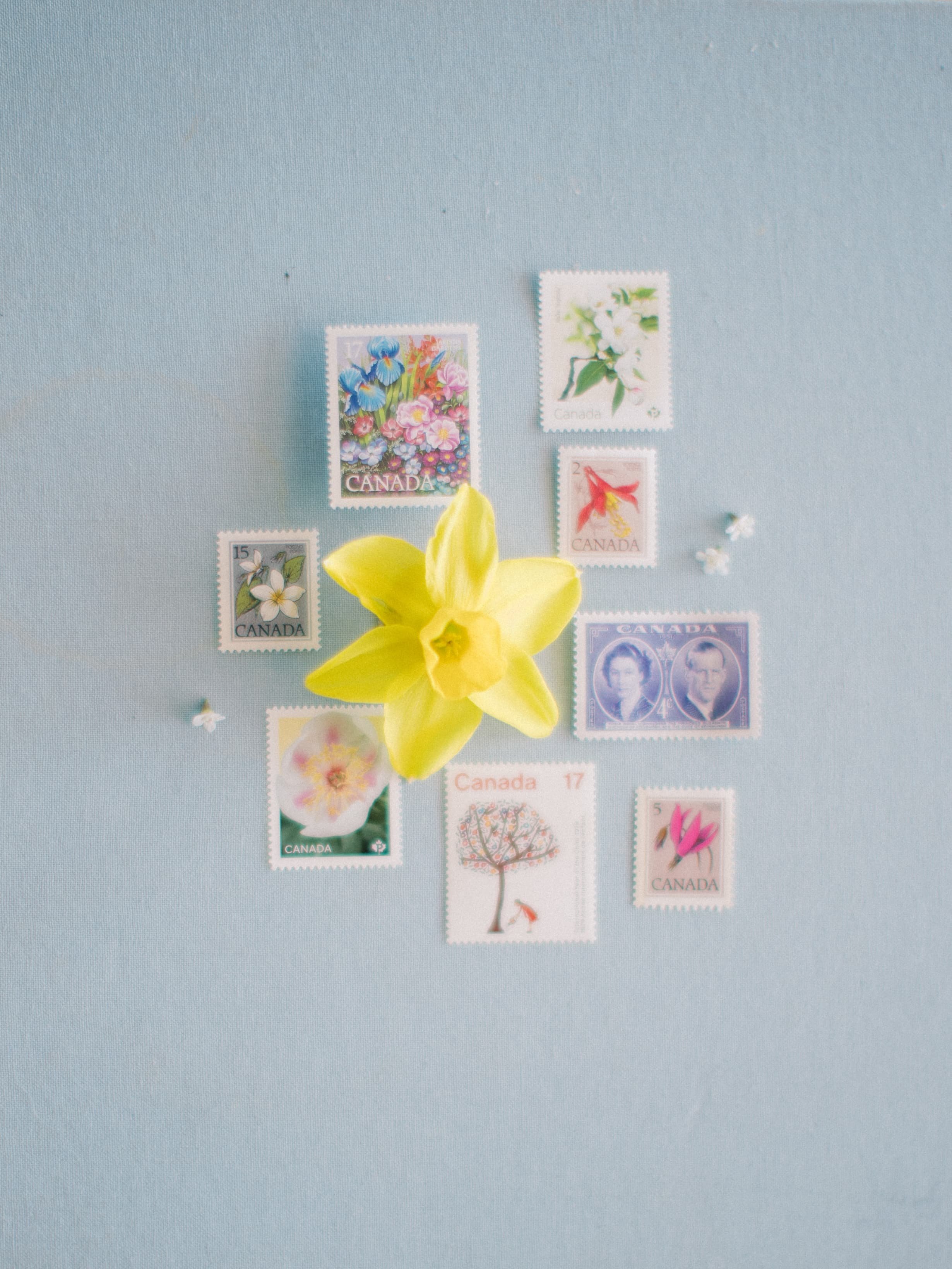 Twig & Bloom Calgary offers premium floral design and delivery, specializing in wedding florals, event flowers, and arrangements for everyday moments. Serving Calgary and surrounding areas, we create timeless garden-inspired designs that elevate any 