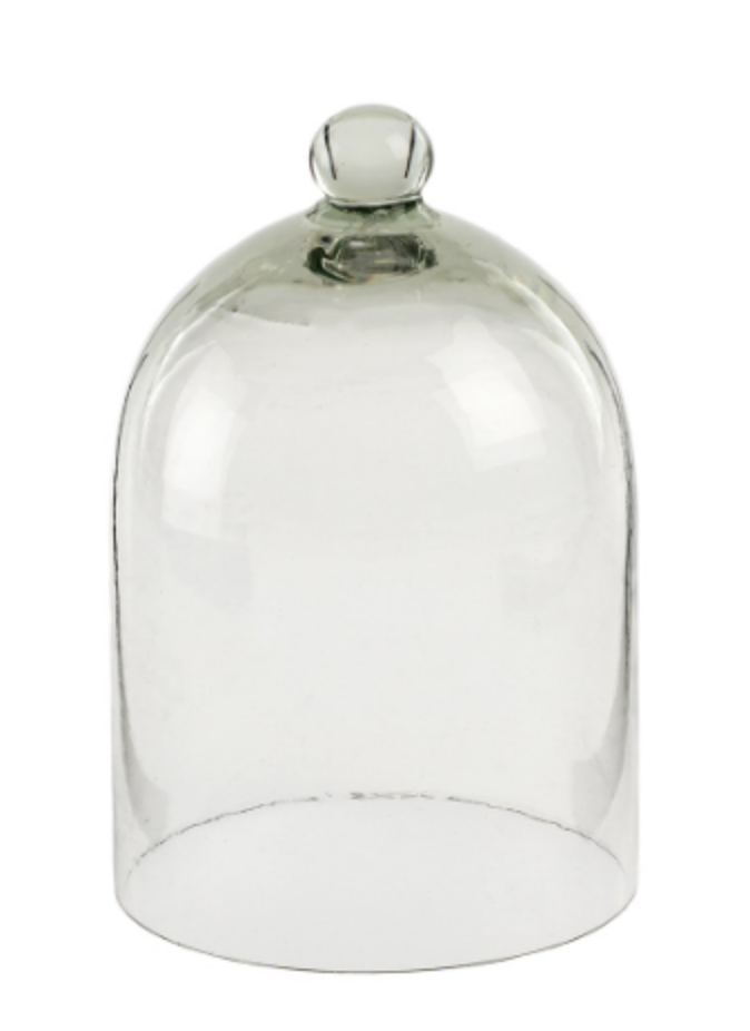 Blown Glass Cloche