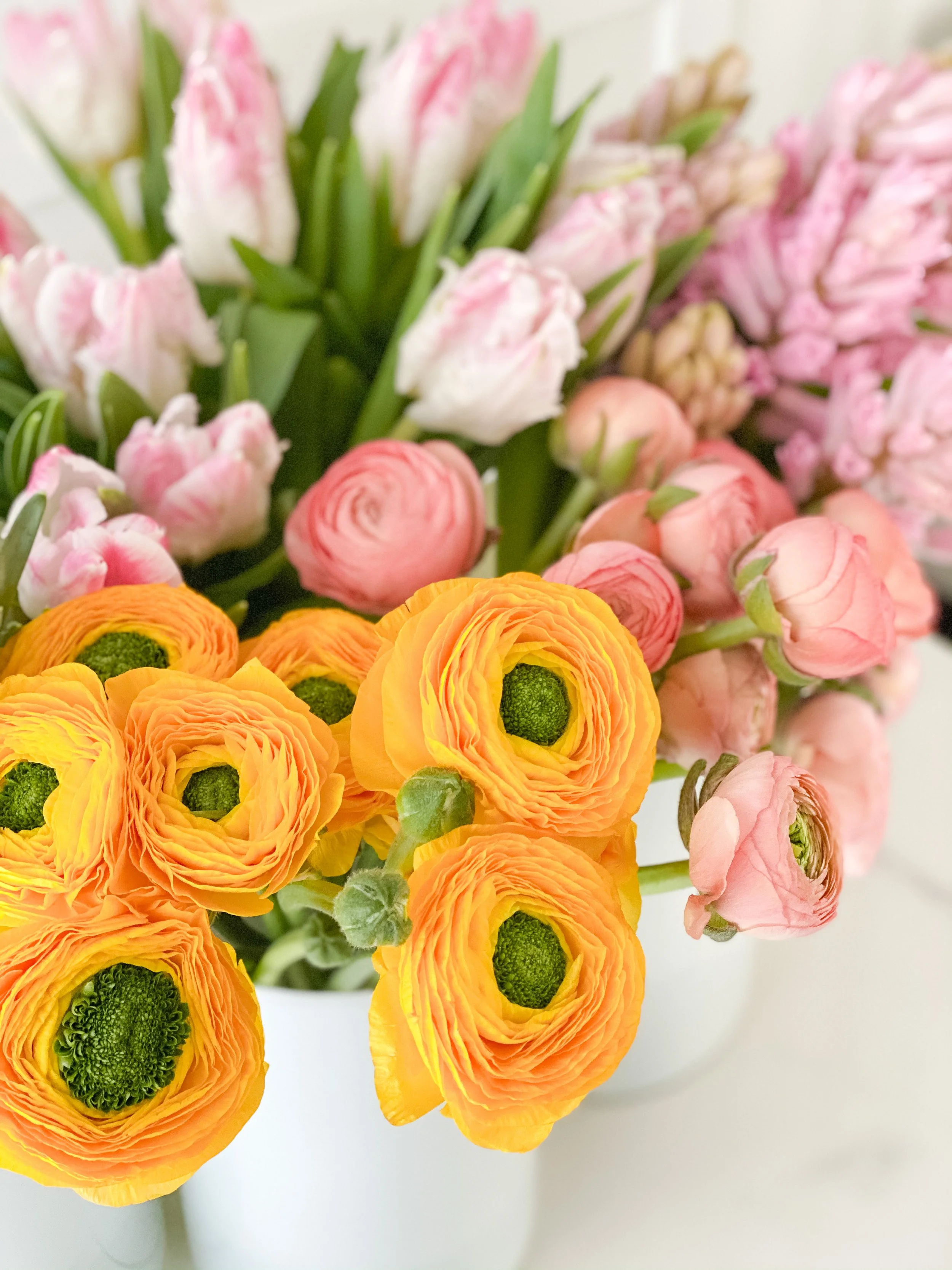 Dreaming of Spring Workshop