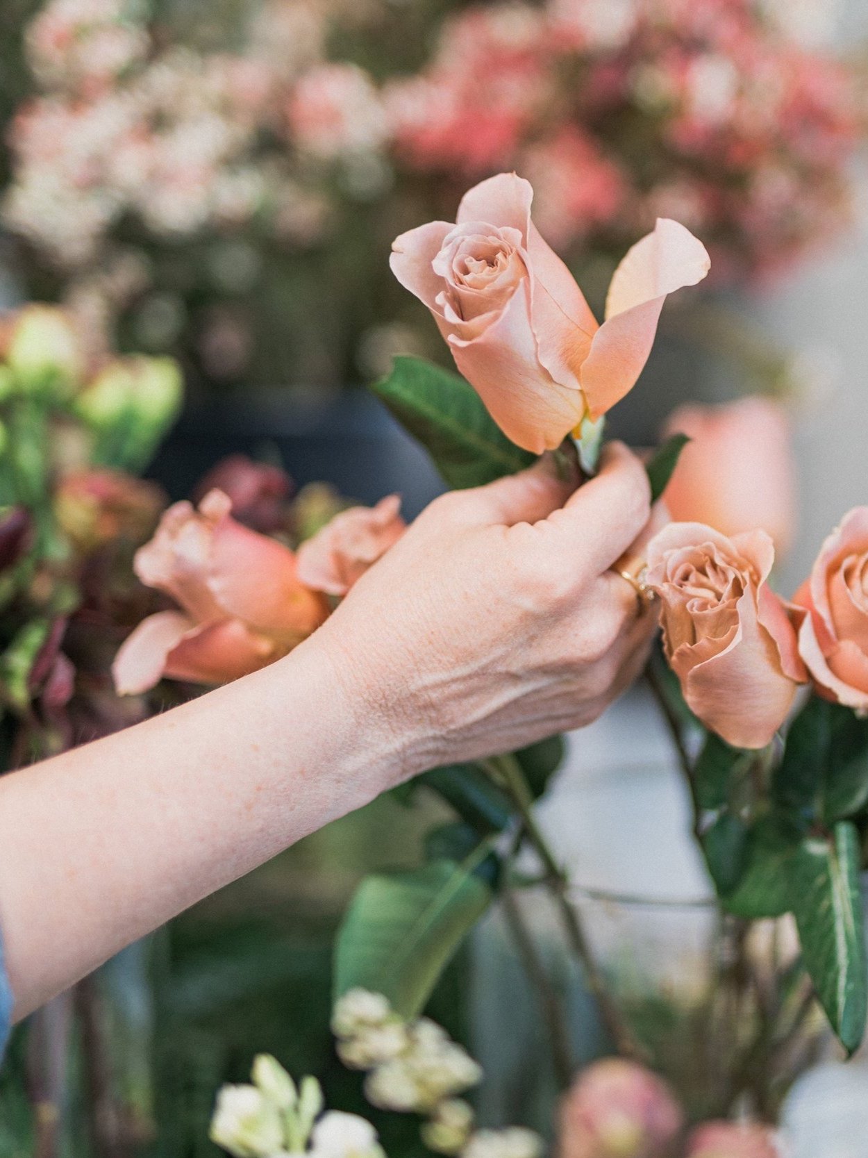 A soft blush rose for a Twig & Bloom workshop in Saskatoon.