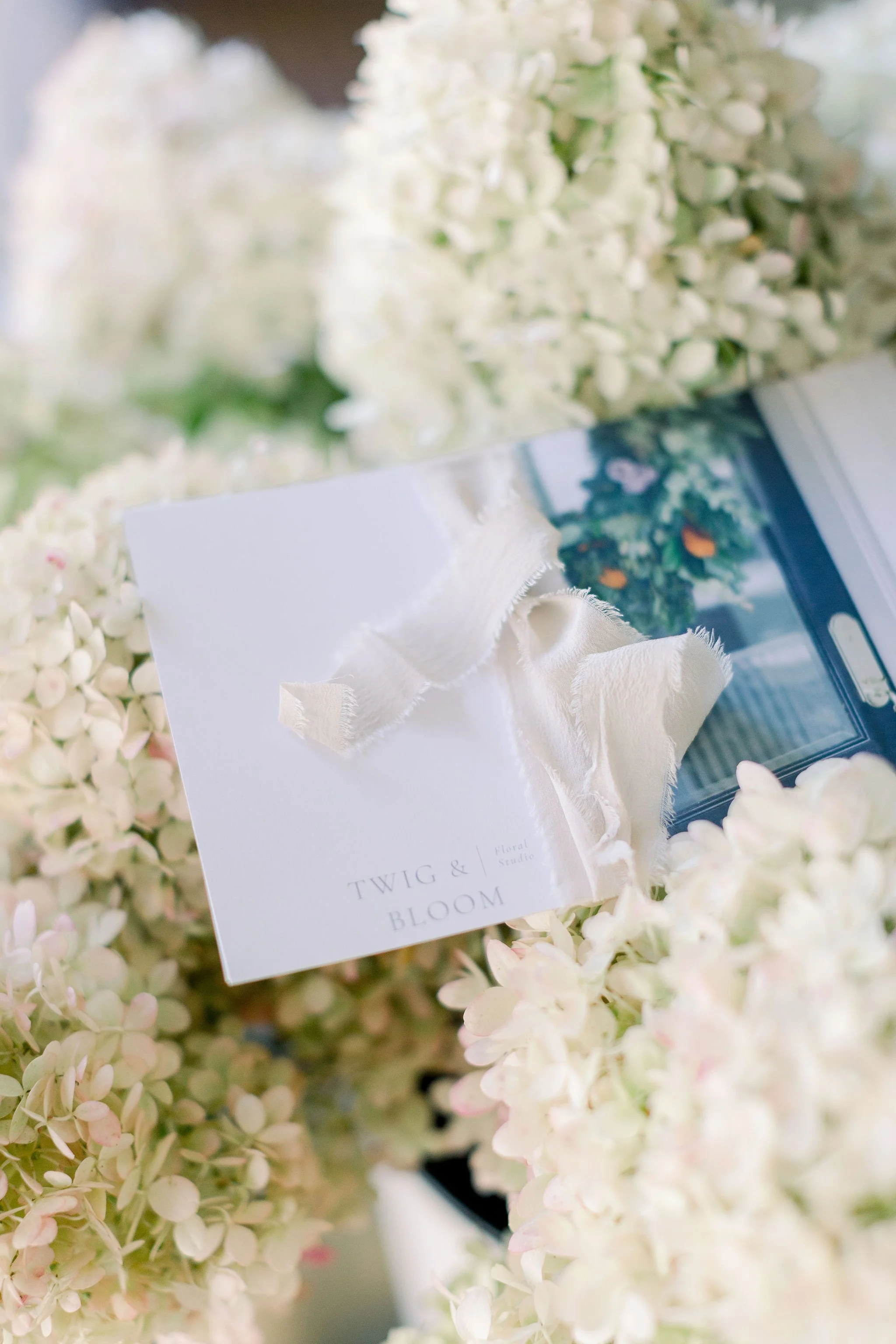 Elegant white fall hydrangeas surrounding Twig & Bloom Calgary stationery.