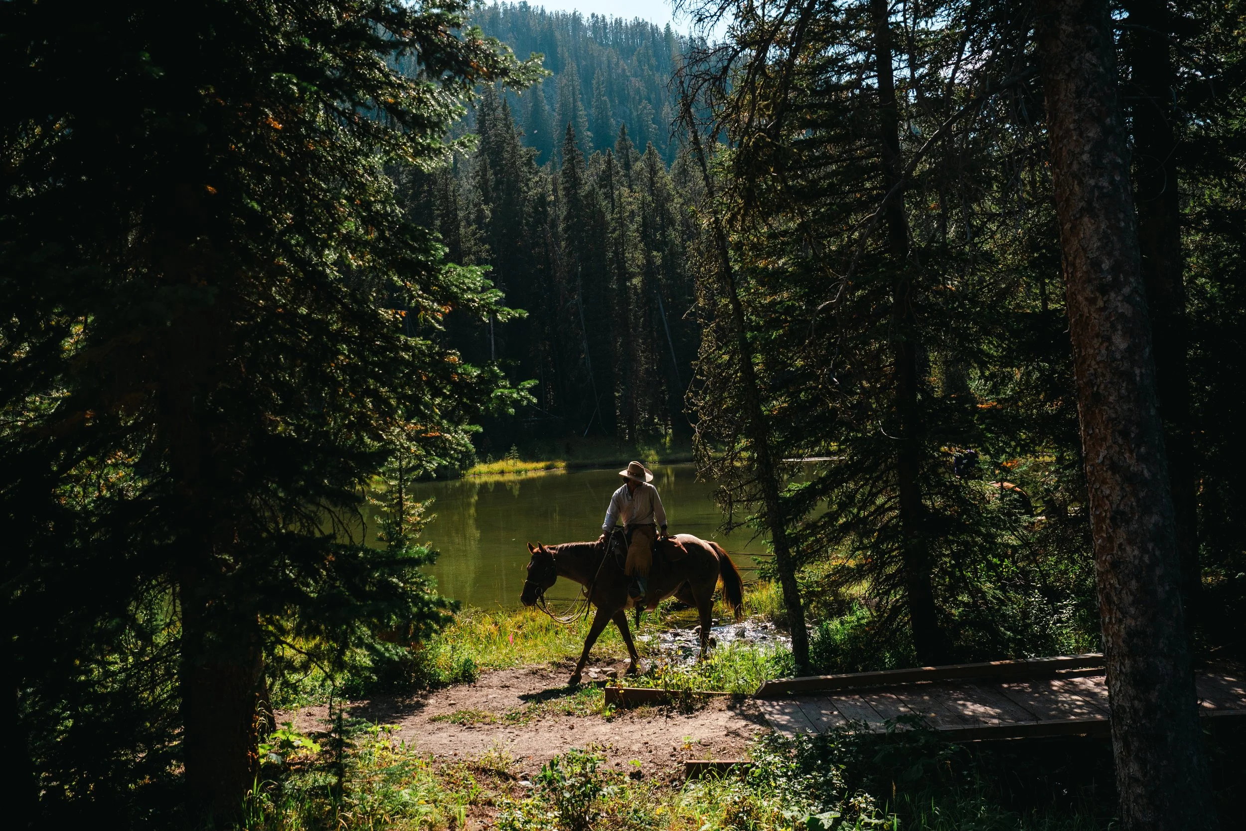 A person riding a horse along a forest trail near a lake, surrounded by tall pine trees and mountains in the background.