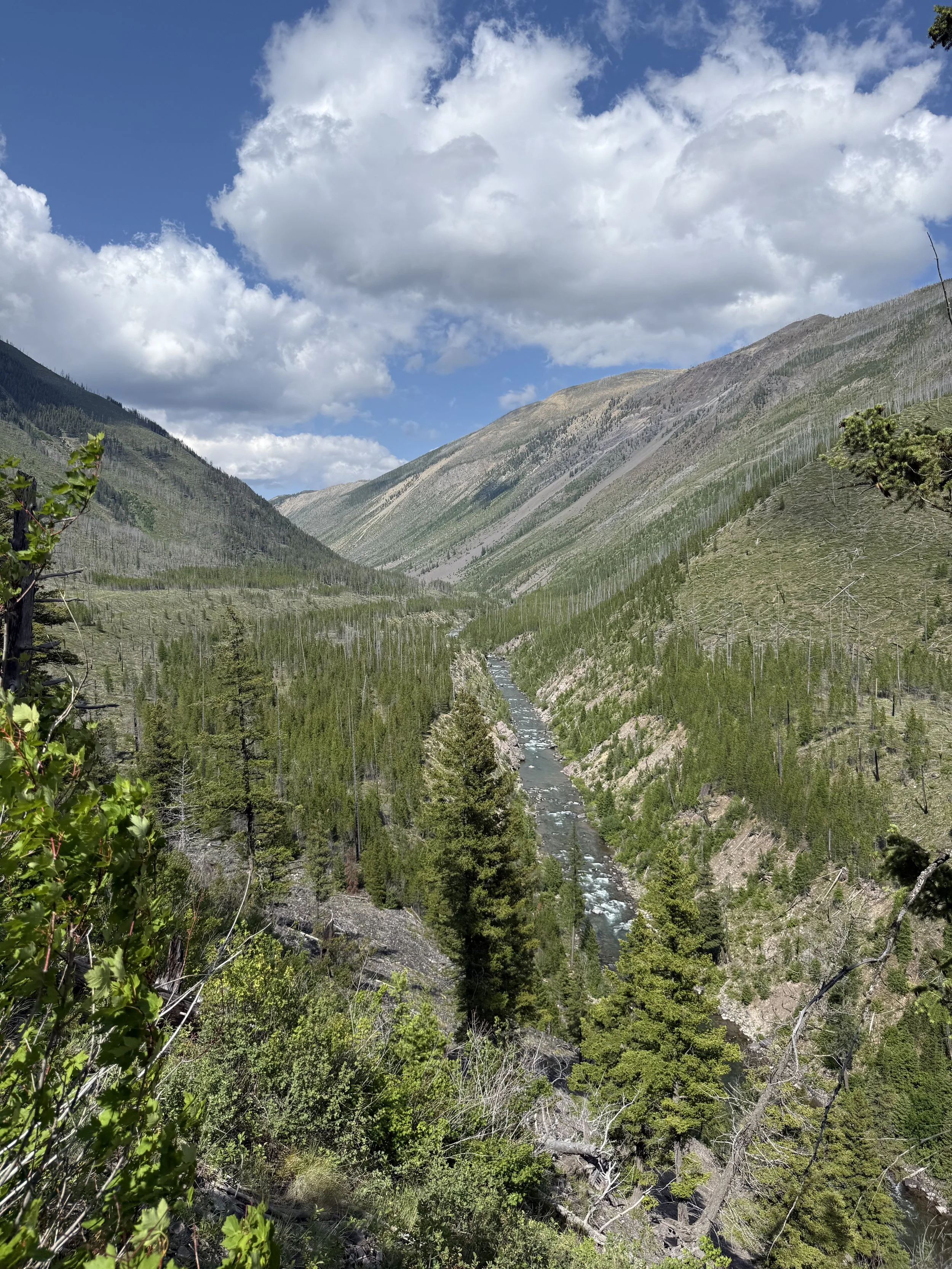 Geometric drawing of an outline square with sections divided by vertical, horizontal, and half circle lines.
