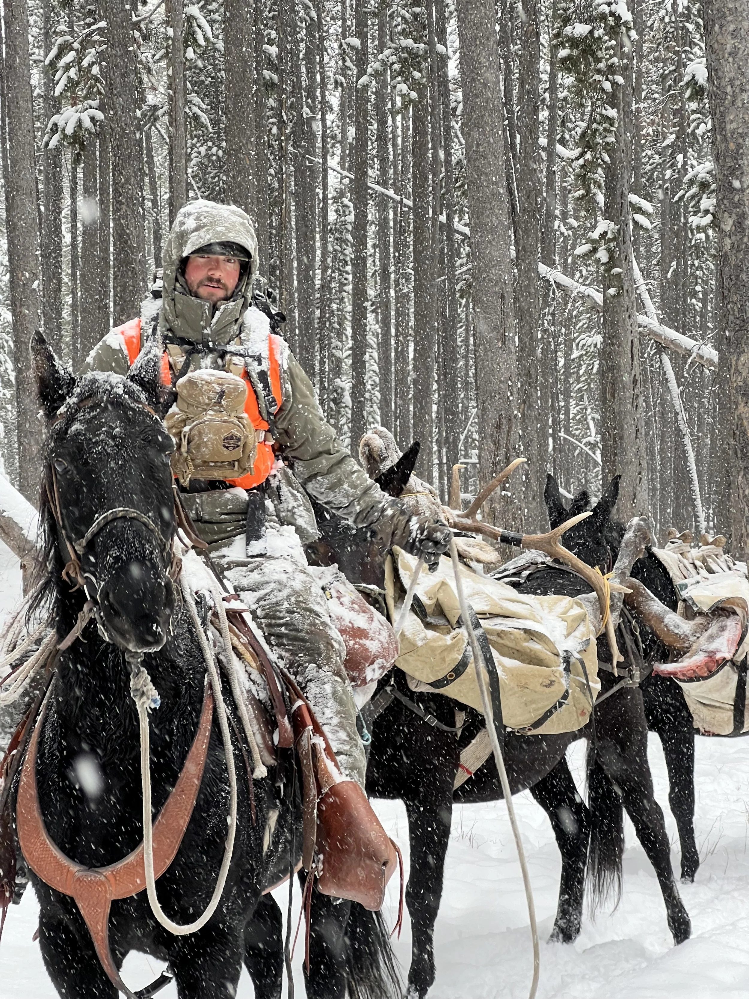 A man on a snow-covered trail riding a pack horse with a forest of snow-covered trees in the background.
