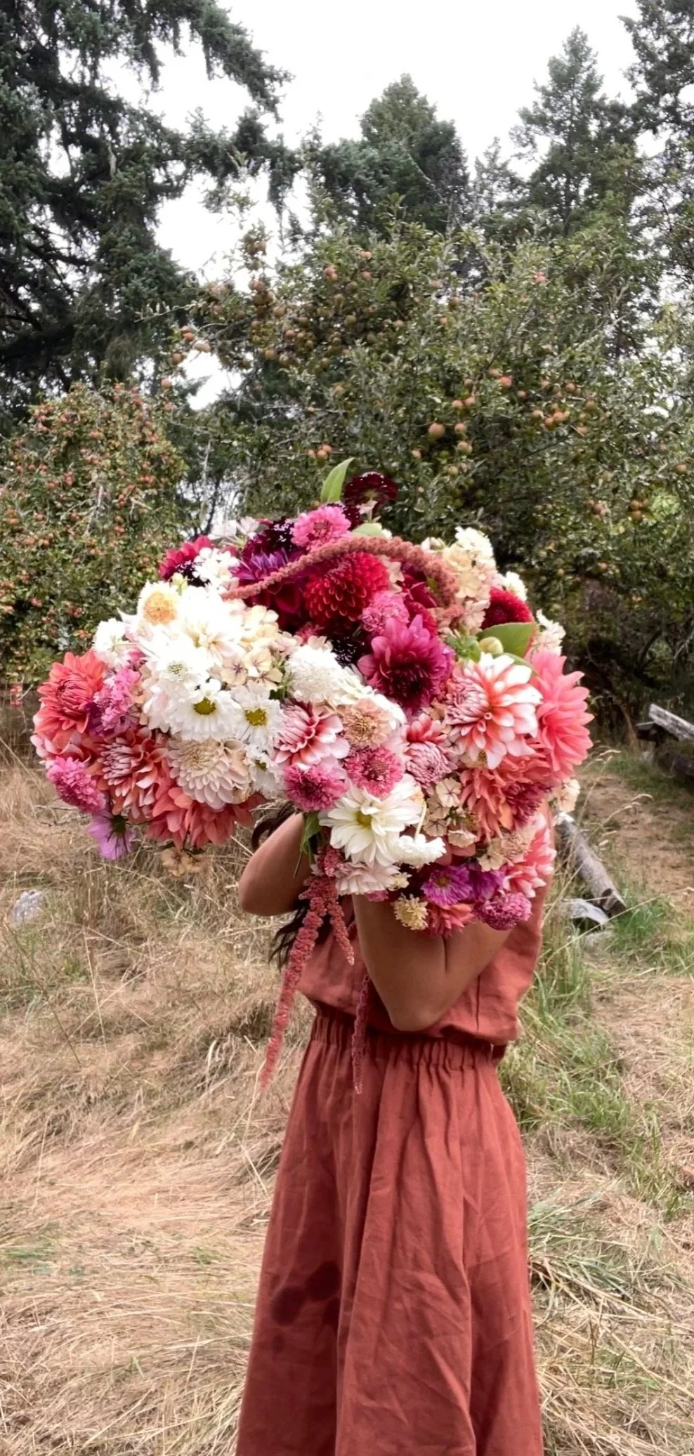 Person in a brown dress holding a large, elaborate bouquet of pink, white, and red flowers outdoors in a grassy area with trees in the background.