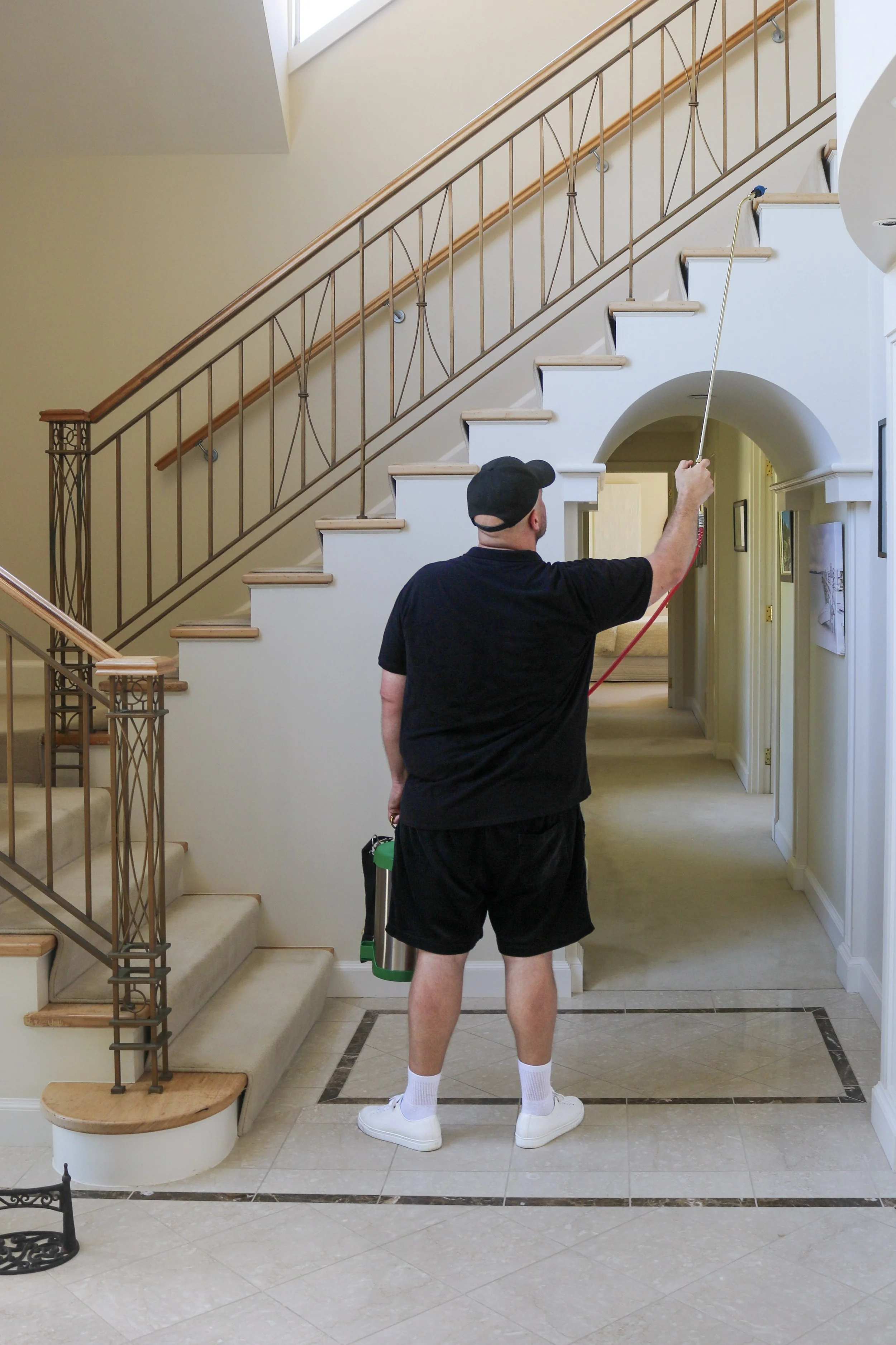 Pestie technician carrying out residential pest control at an Auckland property.