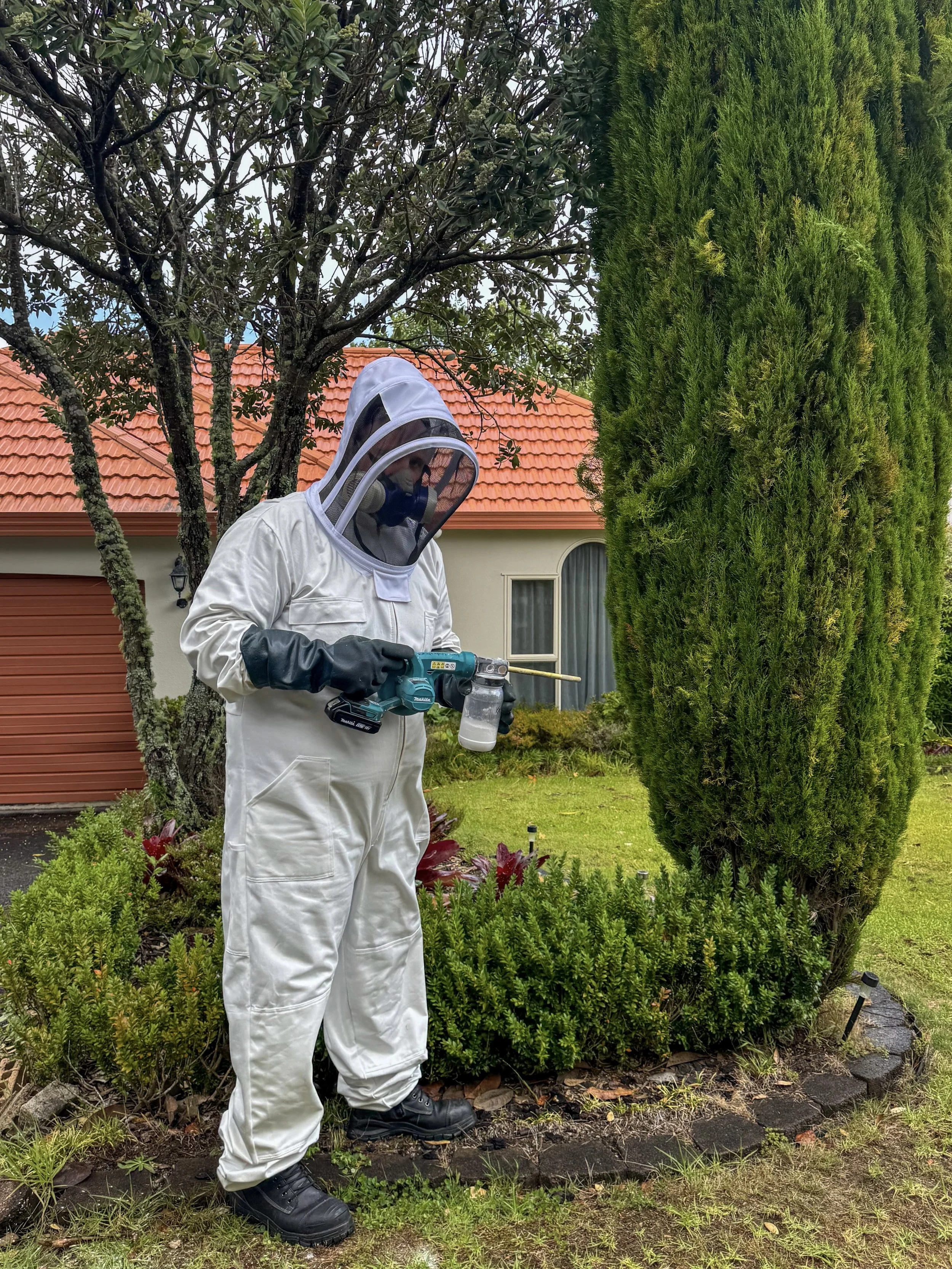 Pestie technician Carlos Visser carrying out high-risk wasp nest removal in Auckland.
