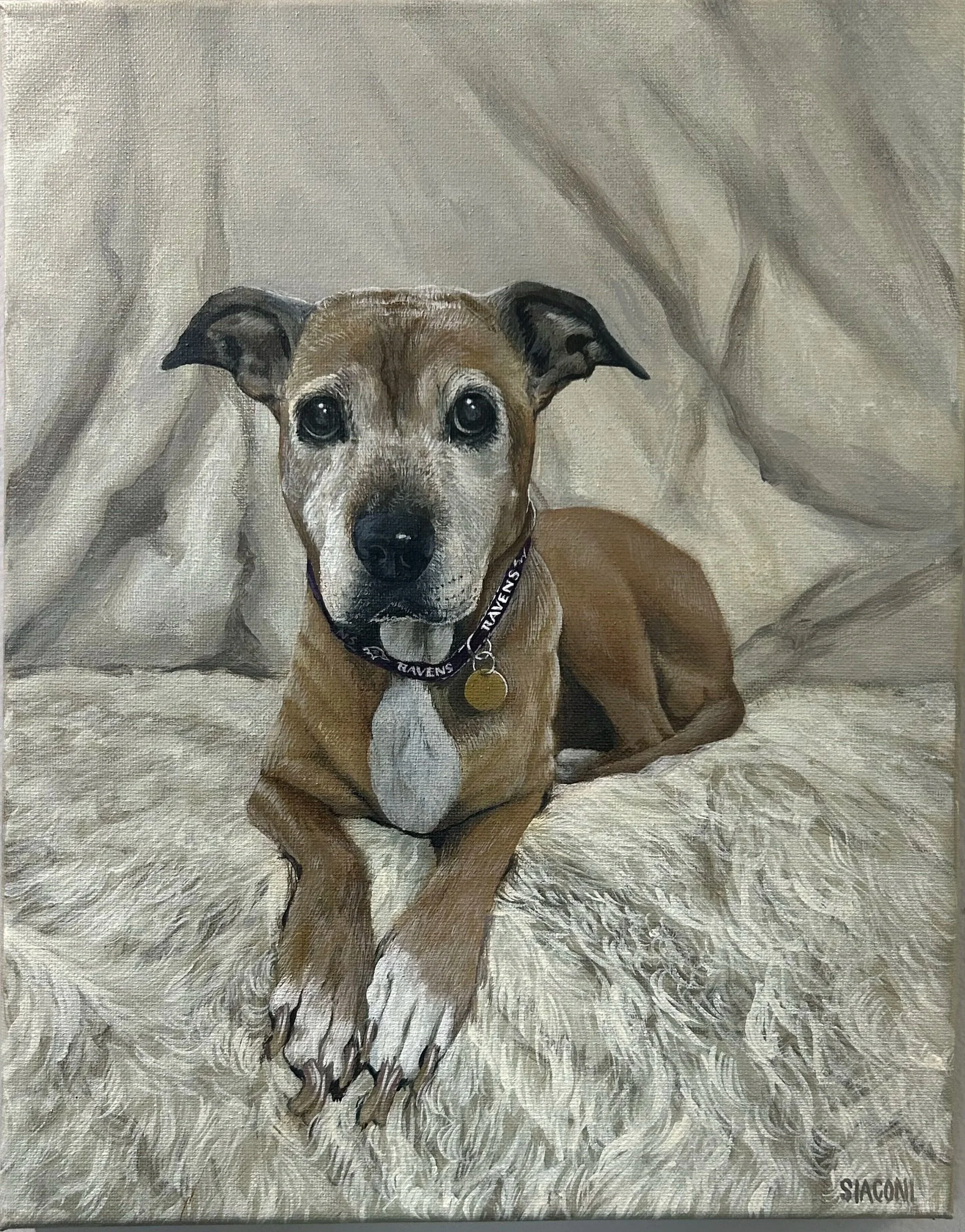 Pretty Paws 11inx14in