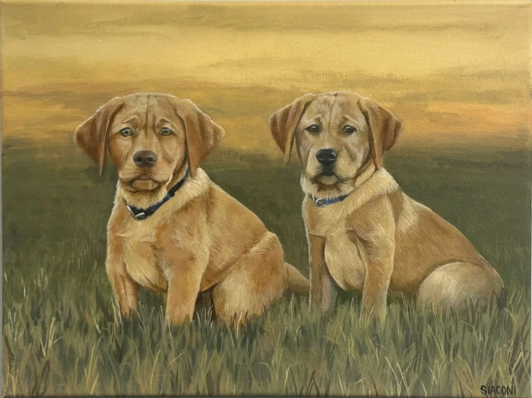 2 Golden Pups 12inx16in