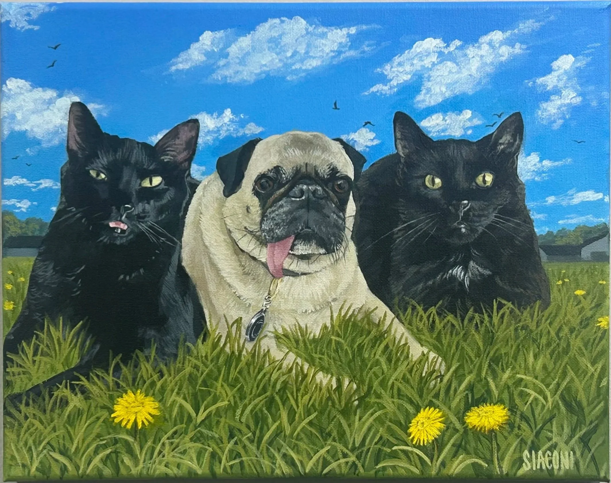 Three Amigos 1inx14in