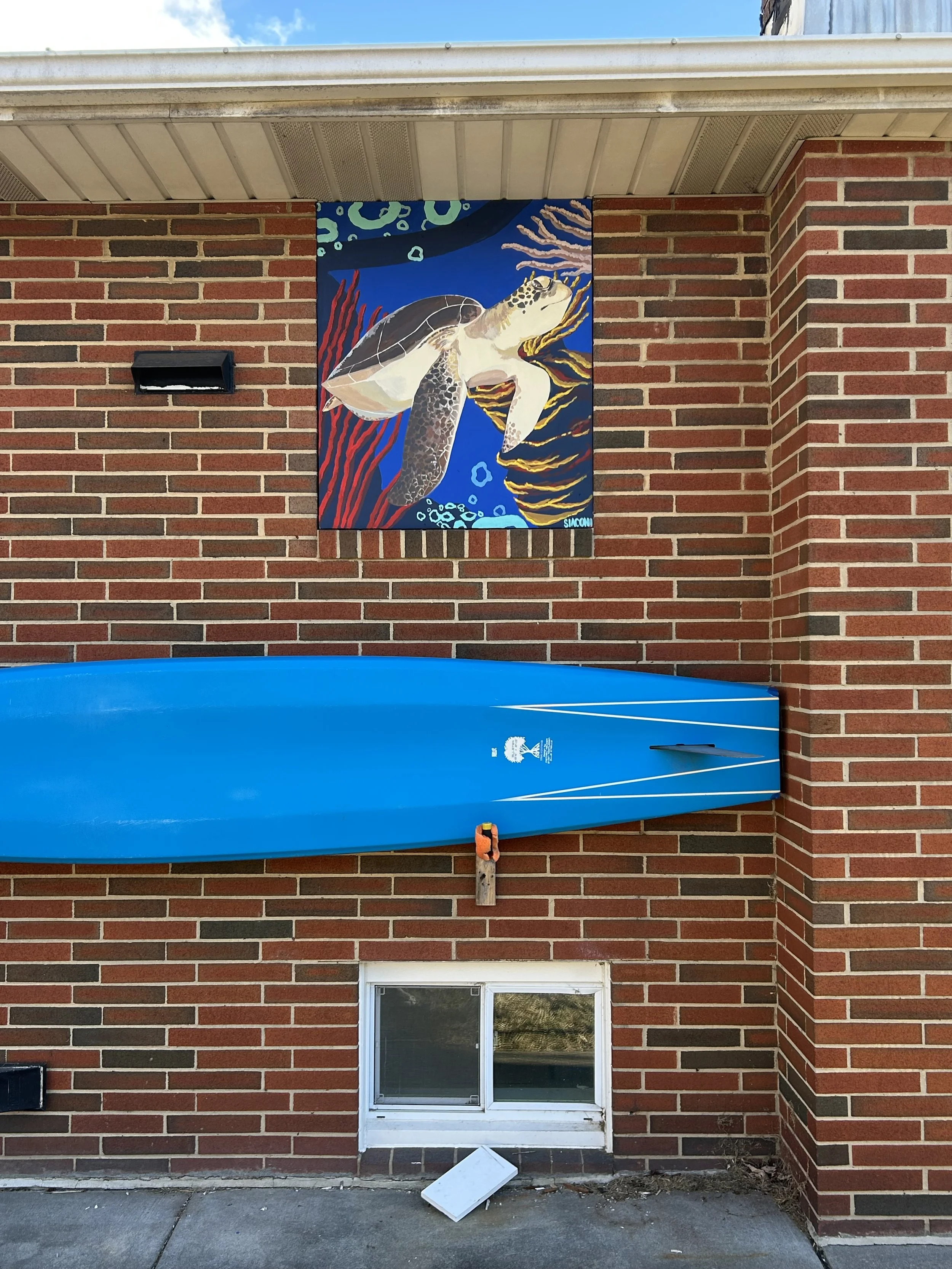 Turtle Mural Acrylic Exterior Paint 3 1/2 ft x 3 ft