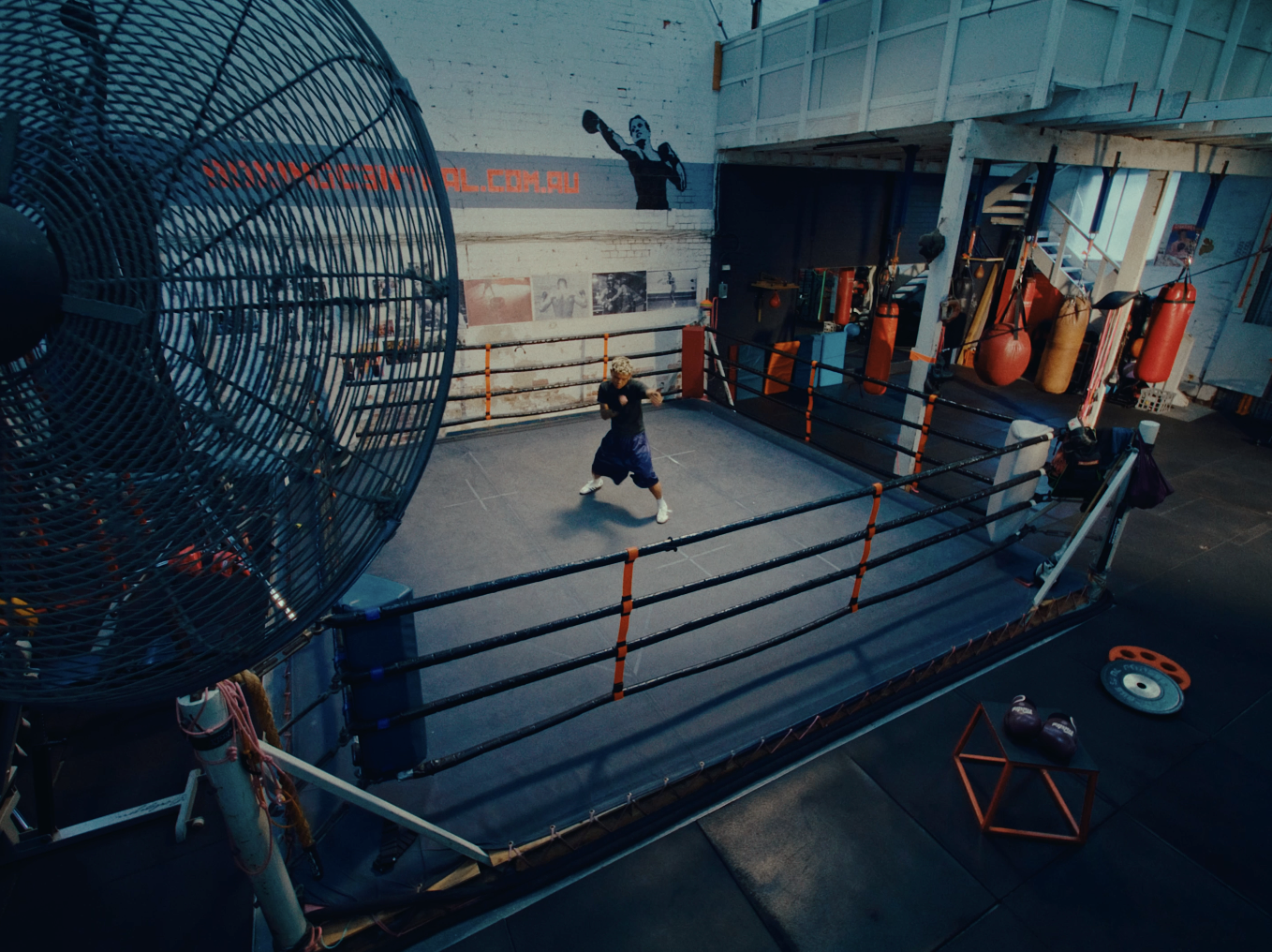 Screenshot 2026-02-20 at 10.01.31 PM.png