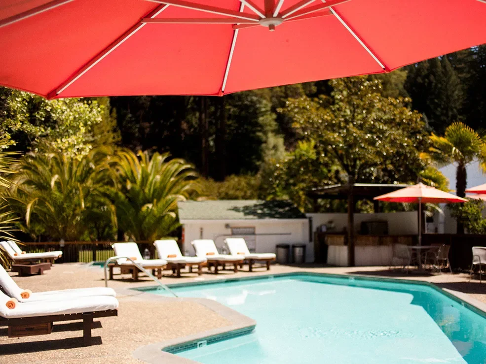 Swimming pool surrounded by lounge chairs with white cushions; red umbrellas providing shade; lush greenery with trees and palm plants in the background; clear sunny weather.