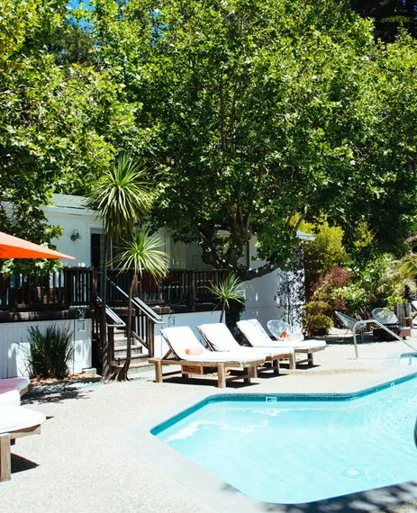 Backyard pool area with lounge chairs, tall green trees, and lush plants, including palm trees.