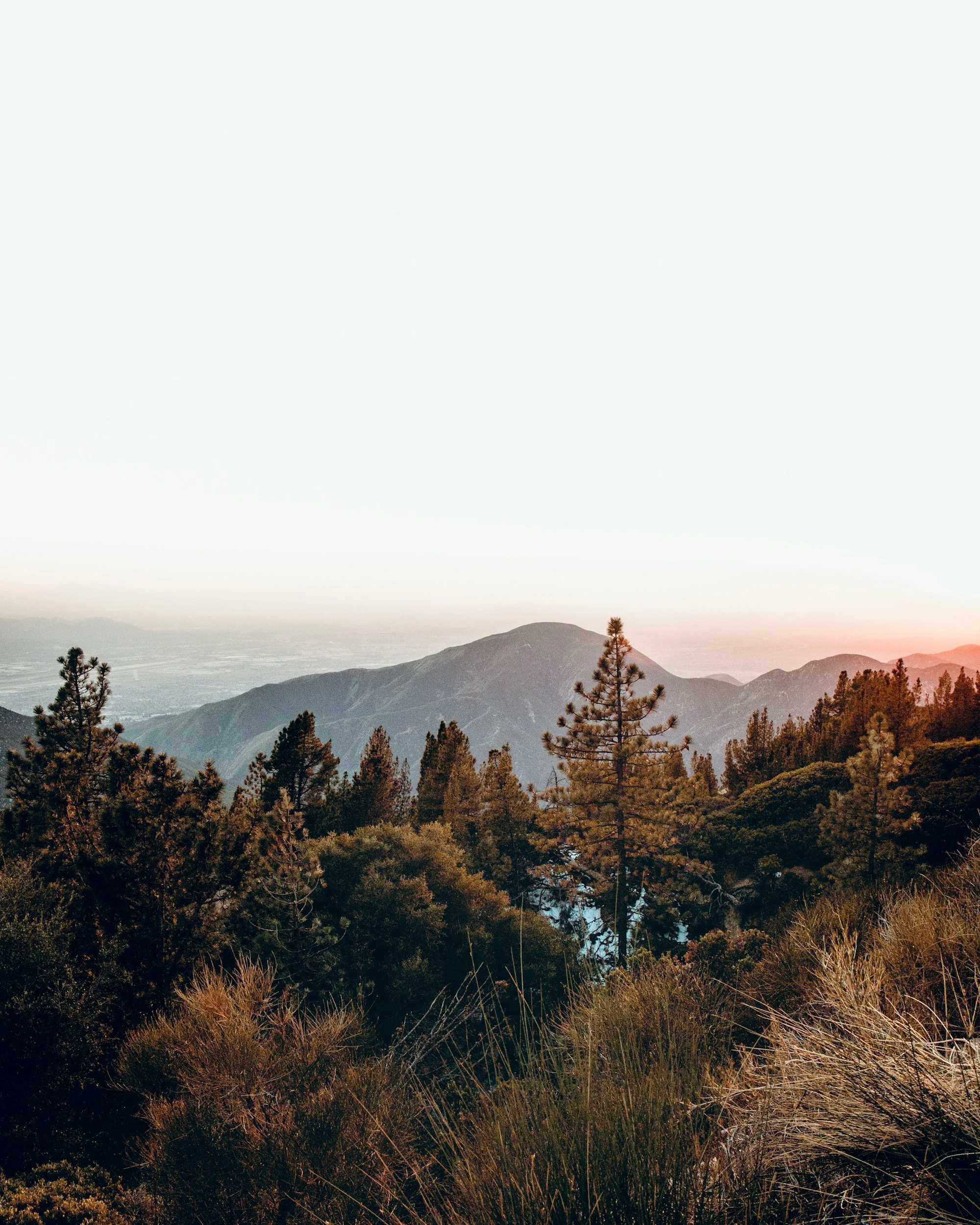 HOKA Kodiak Ultra Marathons by UTMB Returns as Americas Major Through 2028