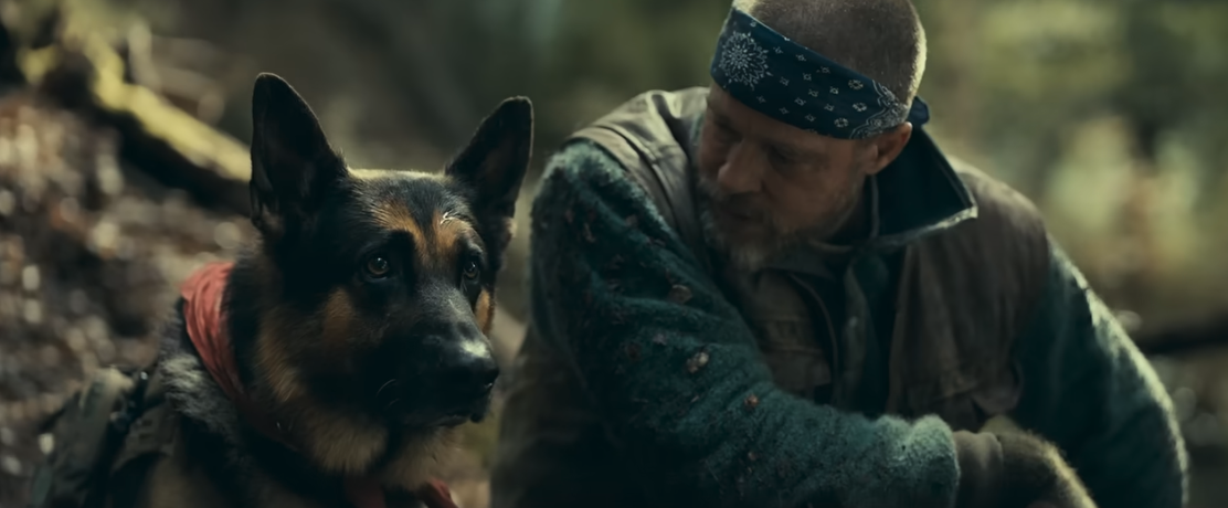 Brad Pitt Returns to Survival Thriller Territory in Heart of the Beast