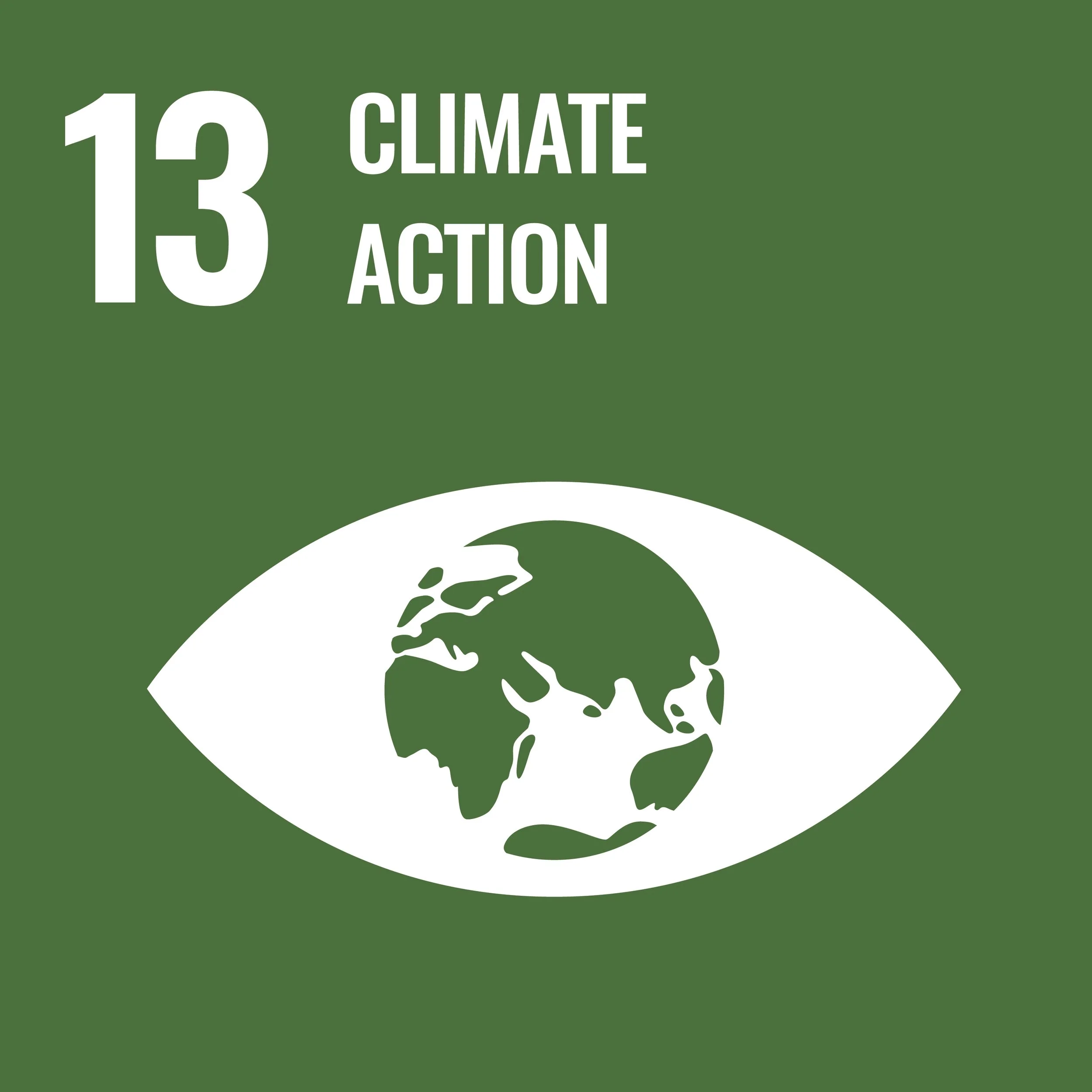 Environmental poster promoting climate action with the number 13, a globe inside an eye, and green background.