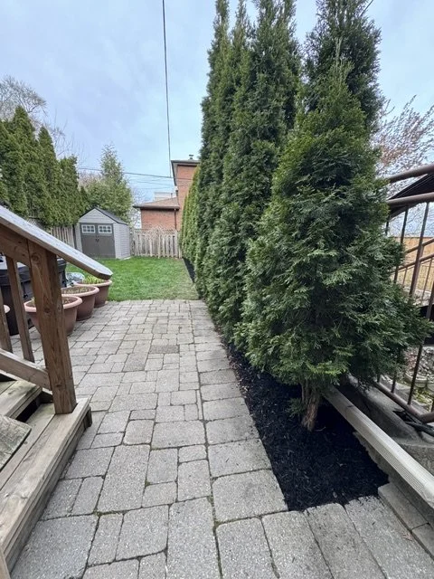 Lawn Restoration Sodding & Mulch