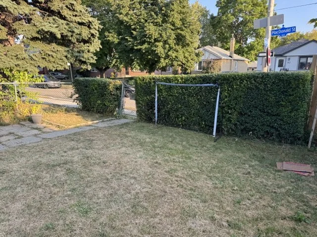 Basic Lawn Care & Hedge Trimming