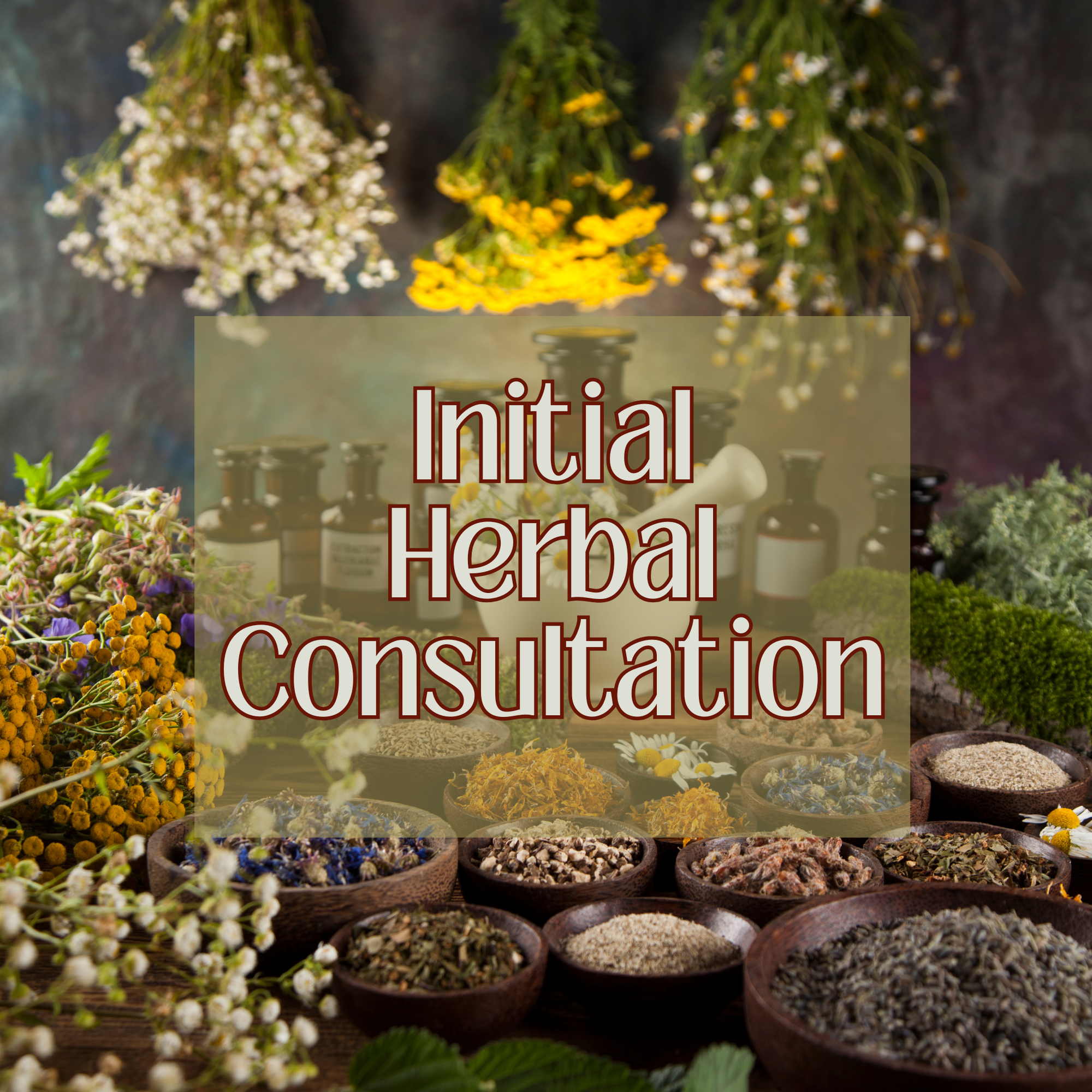 Initial Herbal Consultation