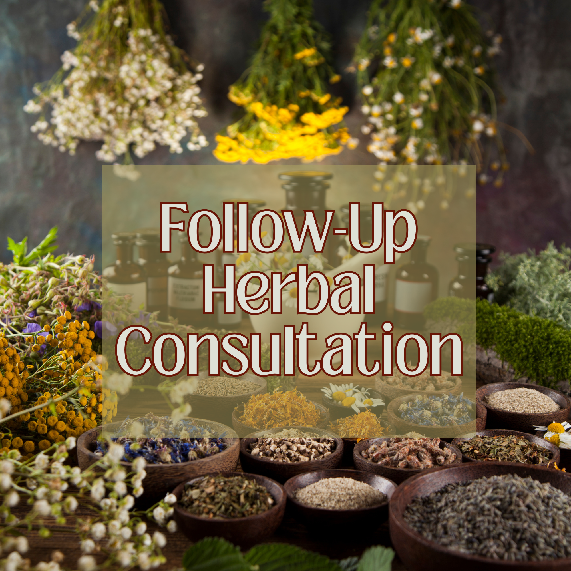Follow-Up Herbal Consultation