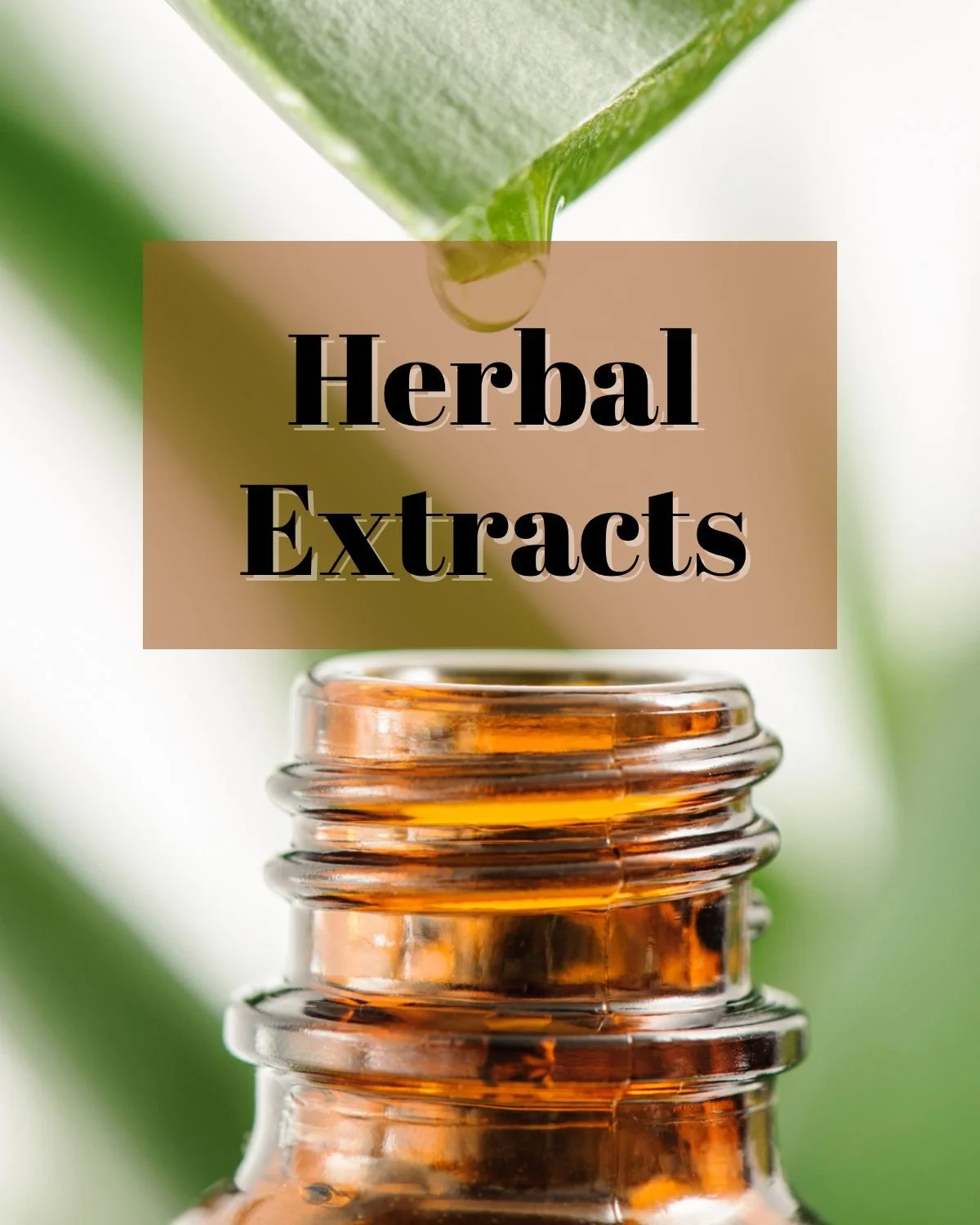 Herbal Extracts