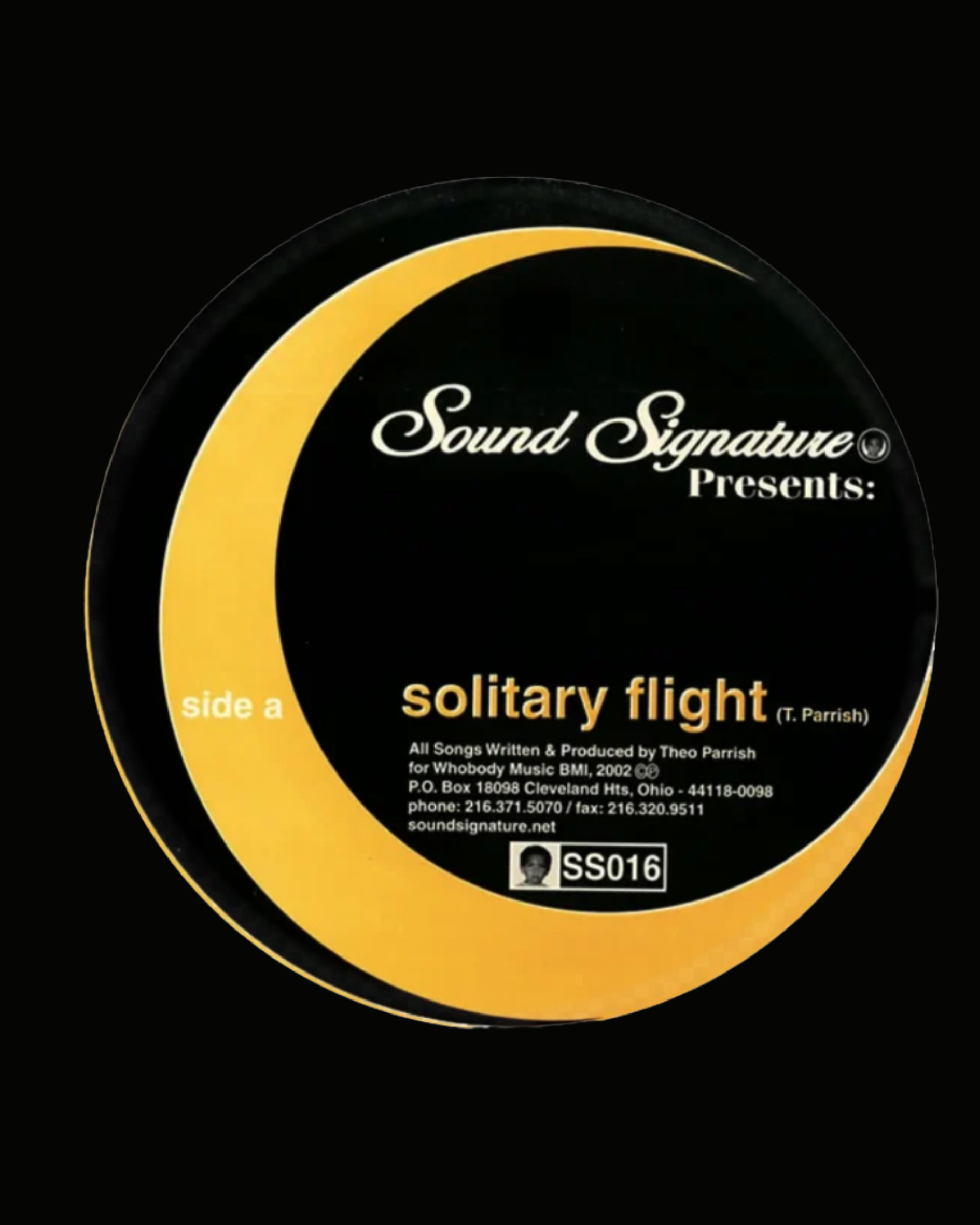 12" / Theo Parrish - Solitary Flight / Solitary Flight Live