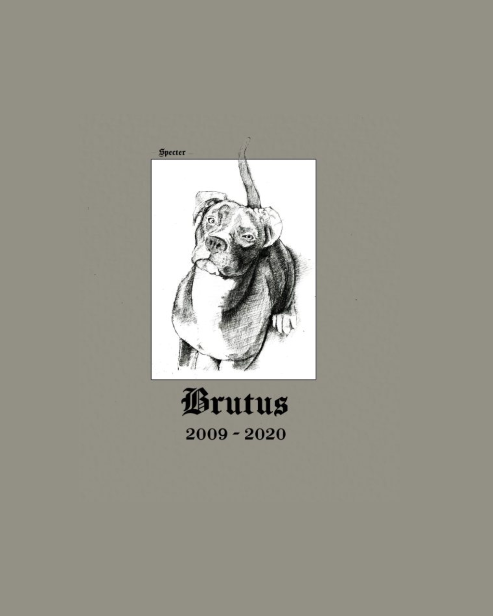 CD / Specter - Brutus 2009-2020