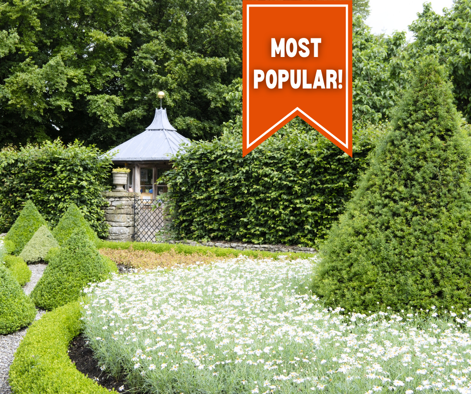 The Garden (Most Popular Plan)