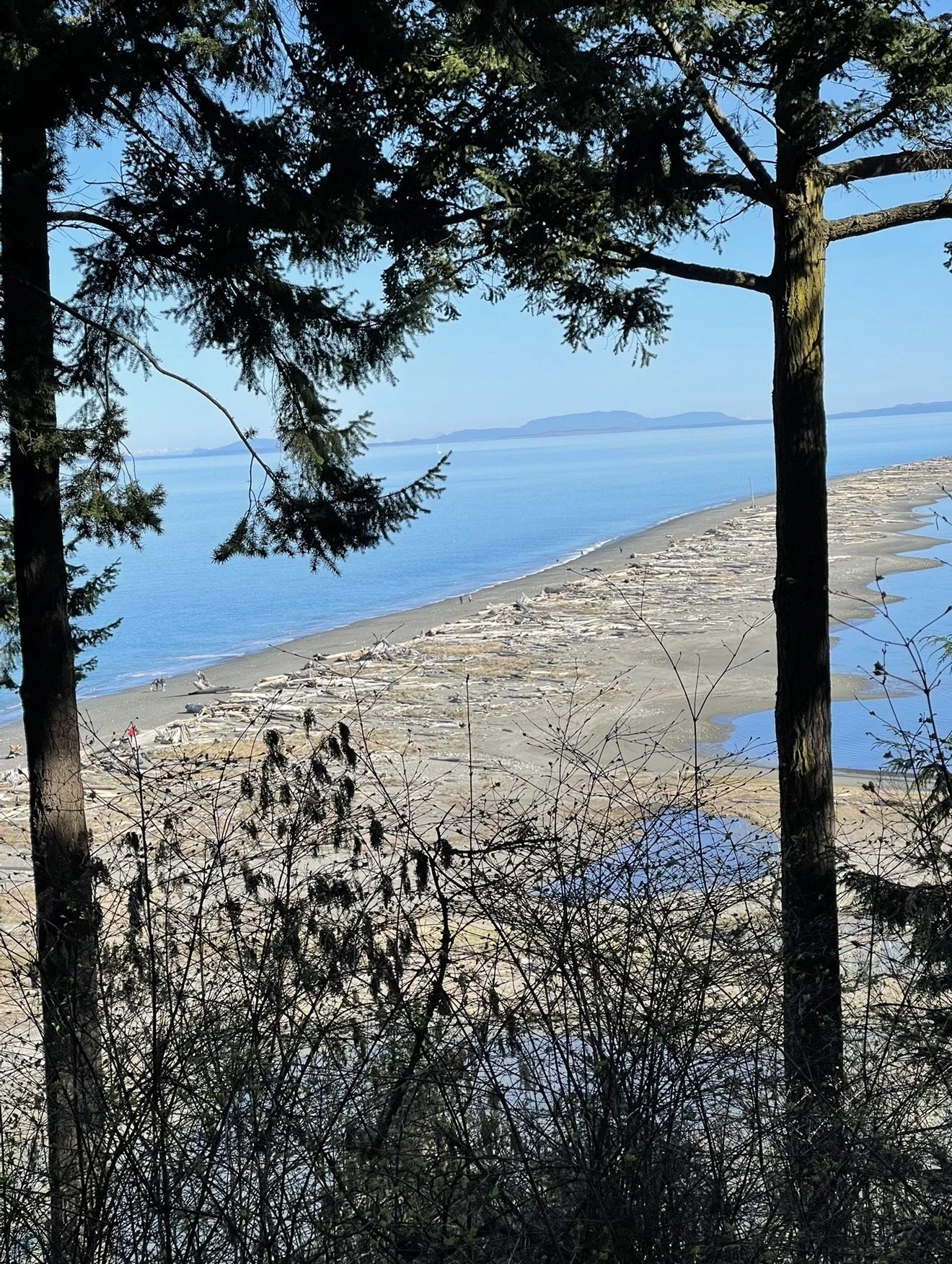 art therapist, art therapy, art therapy for lgbtq queer, therapy for artists, therapy for creatives, therapy for adhd, therapy for ocd, therapy for bpd, therapy for bipolar, therapy for social anxiety, therapy for muslims, therapy for hindus