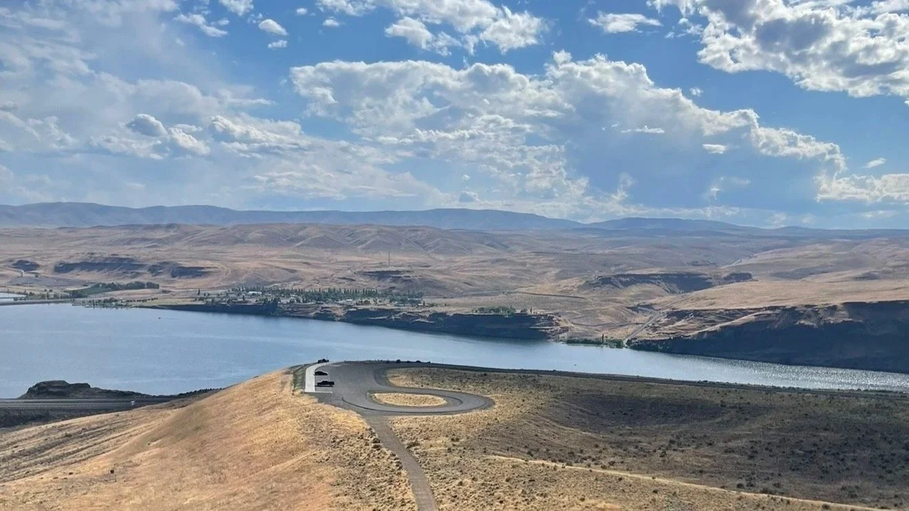 dialectal behavioral therapy, art therapy, therapy for college students, therapy for high schoolers, neurodivergent therapy, multicultural integrative therapy, acceptance & commitment therapy, solution focused brief therapy, therapy for trans people