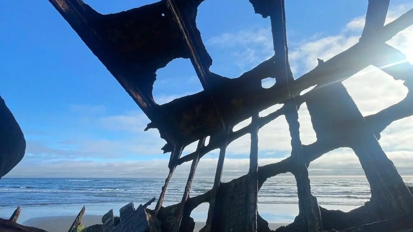 aetna therapist, cigna therapist, kaiser therapist, premera therapist, regence therapist, blue cross therapist, blue shield therapist, anthem therapist, sliding scale therapist, low private pay therapist, relocation support therapist