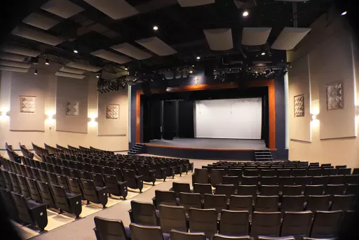 St Dom performing art.png