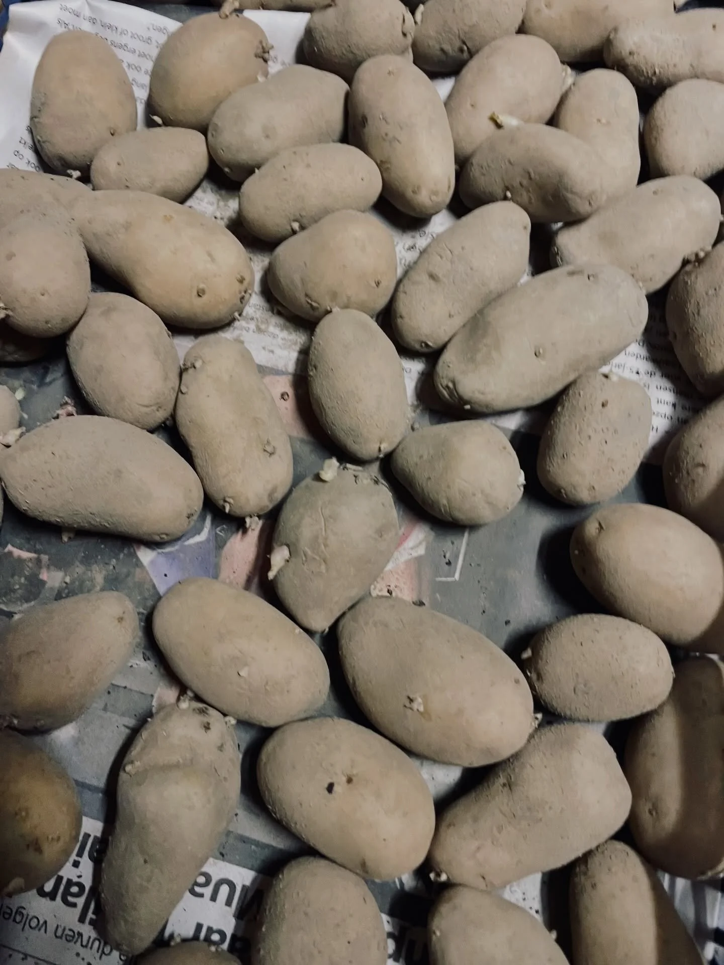 De kracht van het nu.

De aardappels liggen te kiemen.
De compost is omgespit.

De wormen en insecten herinneren mij eraan
hoe krachtig samenwerken met de natuur is.
Niets forceren.
Wel voeden.

Mindfulness is eindeloos opnieuw beginnen.
In het hier 