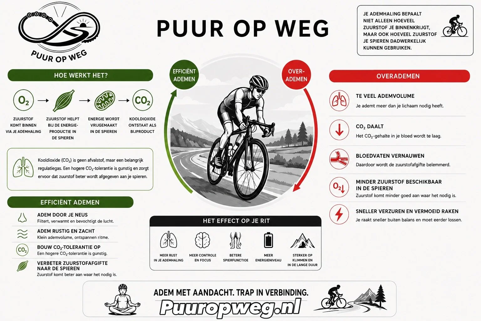 Mindful Cycling &ndash; Dag 1 | La Bresse, De Vogezen 🚴&zwj;♀️🌲

De perfecte plek om aan de slag te gaan met ademhaling.

Veel fietsers denken dat harder ademen meer zuurstof betekent. Maar wat als juist rustiger en effici&euml;nter ademen ervoor z