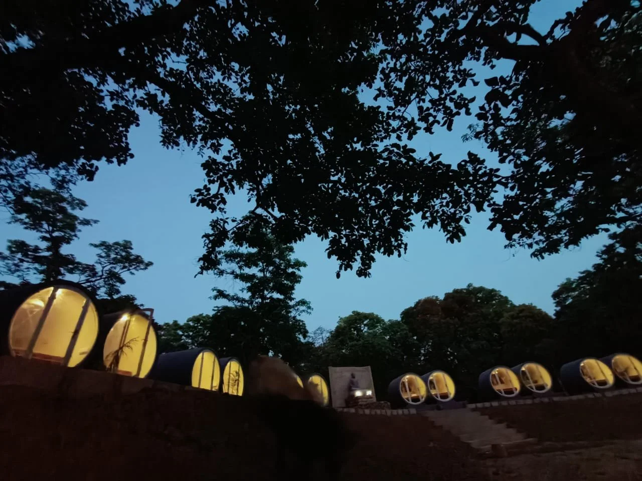 Night camping with bonfire at Wild Monk Dandeli jungle stay resort under forest sky