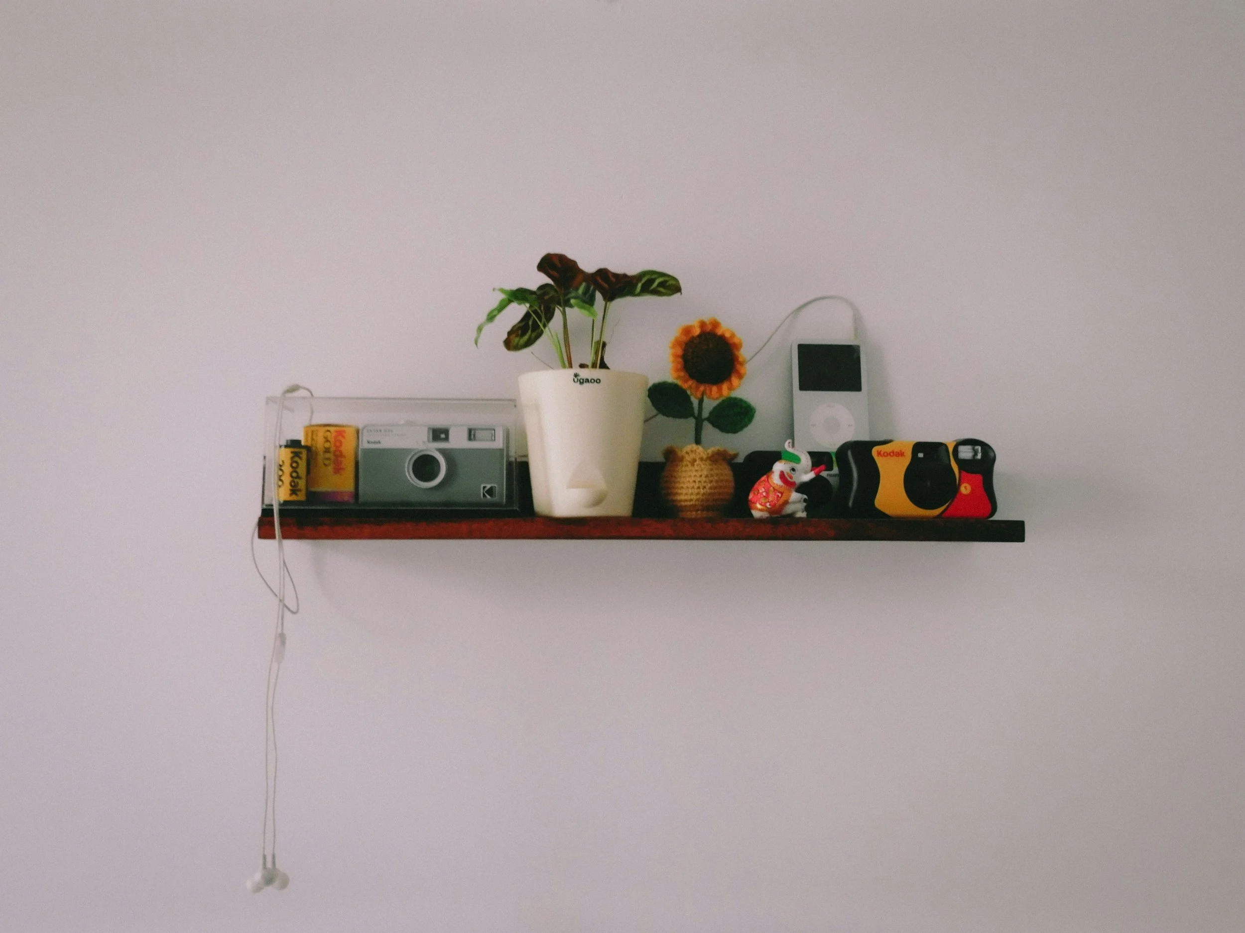 What Is a Disposable Camera? A Beginner's Guide