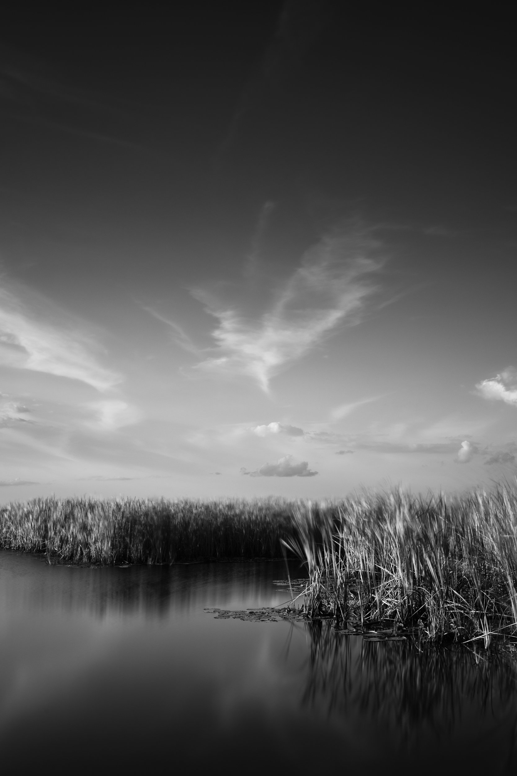 Black and white fine art photograph of tall marsh grasses reflected in still wetland water under sweeping cloudy sky, Savannah, Georgia.