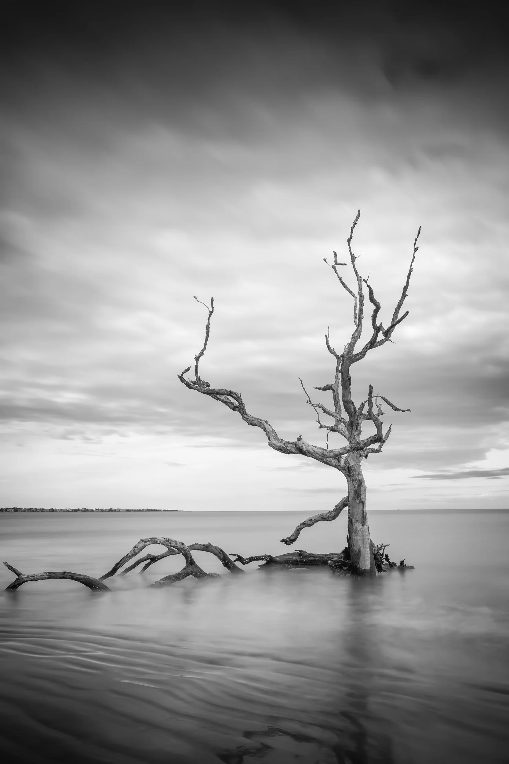 Long exposure photograph of a skeletal tree form standing in calm ocean water with silky smooth waves and dramatic cloudy sky, Jekyll Island, Georgia.
