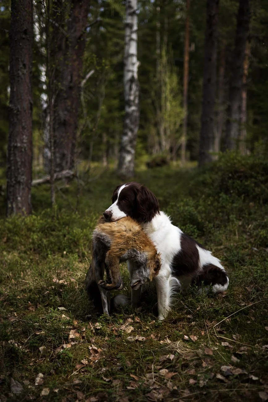 Bild4 (1 of 1)-114.jpg