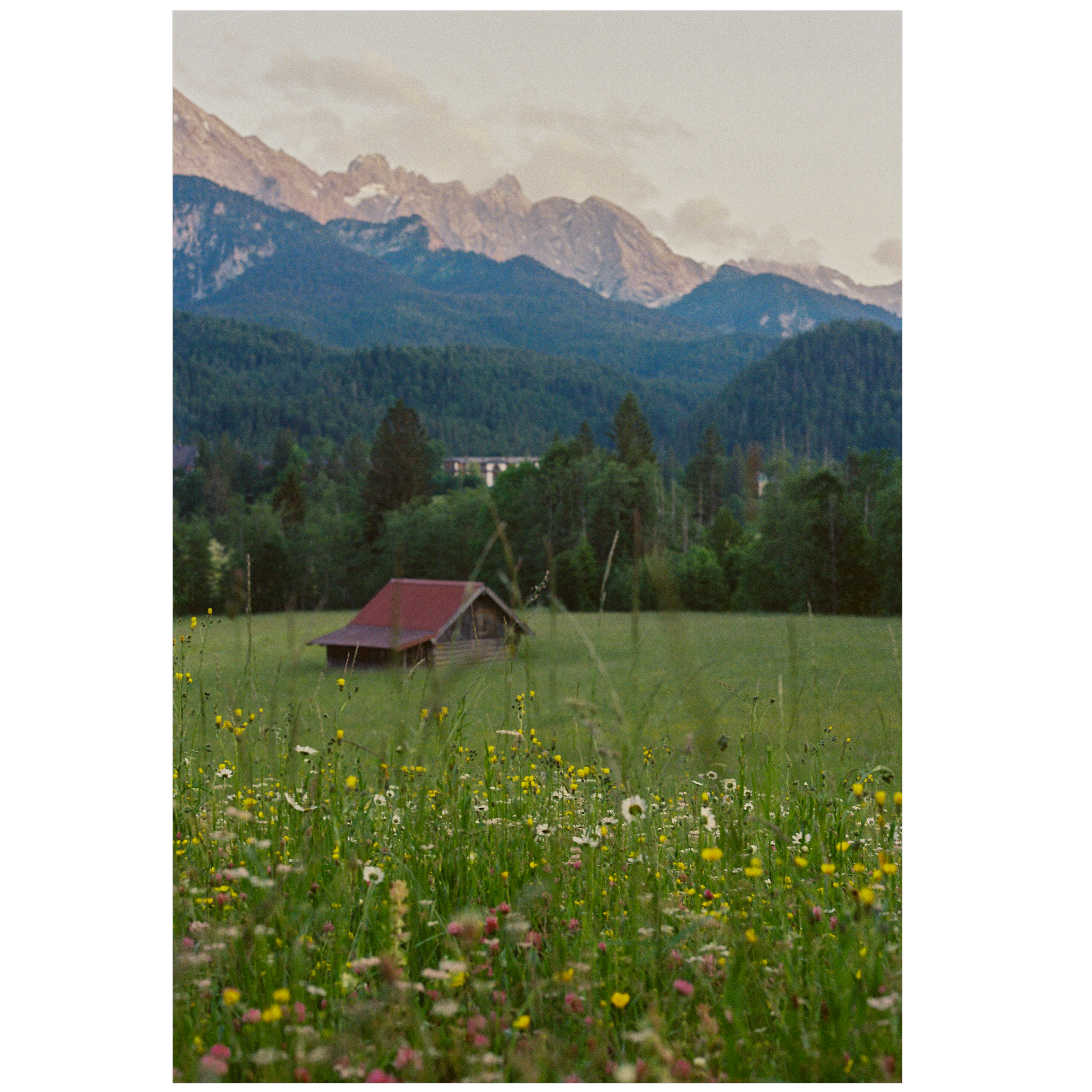 Elmau Meadow (Print)