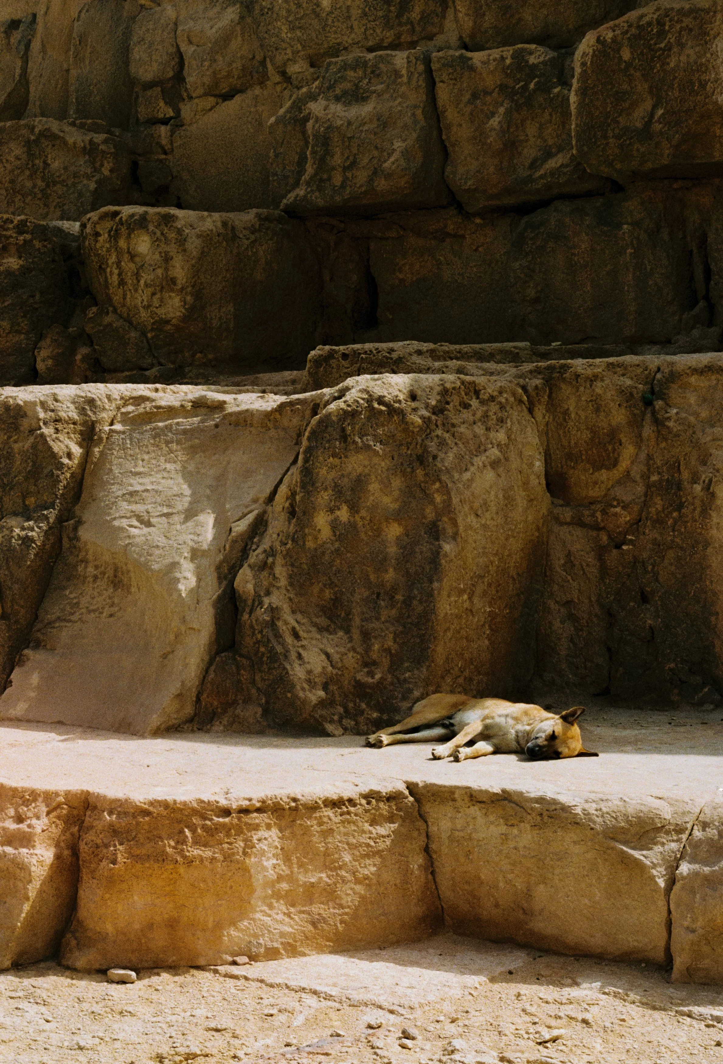 Giza, Egypt (2026)