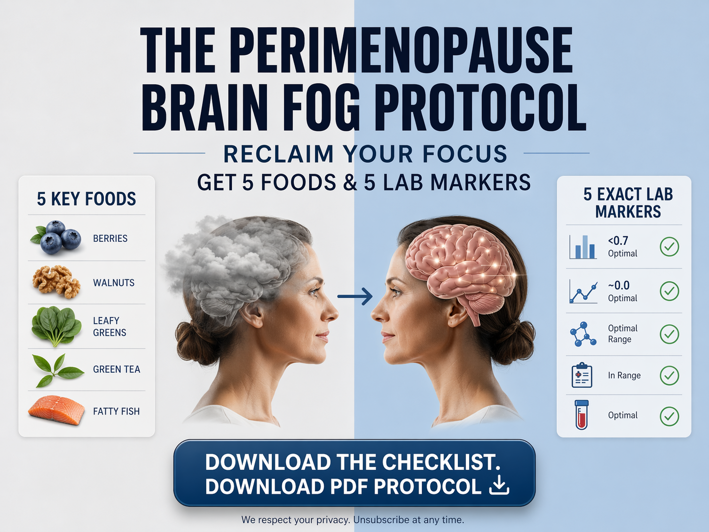 Why Menopause Changes Your Brain, And the Diet That Fights Back 