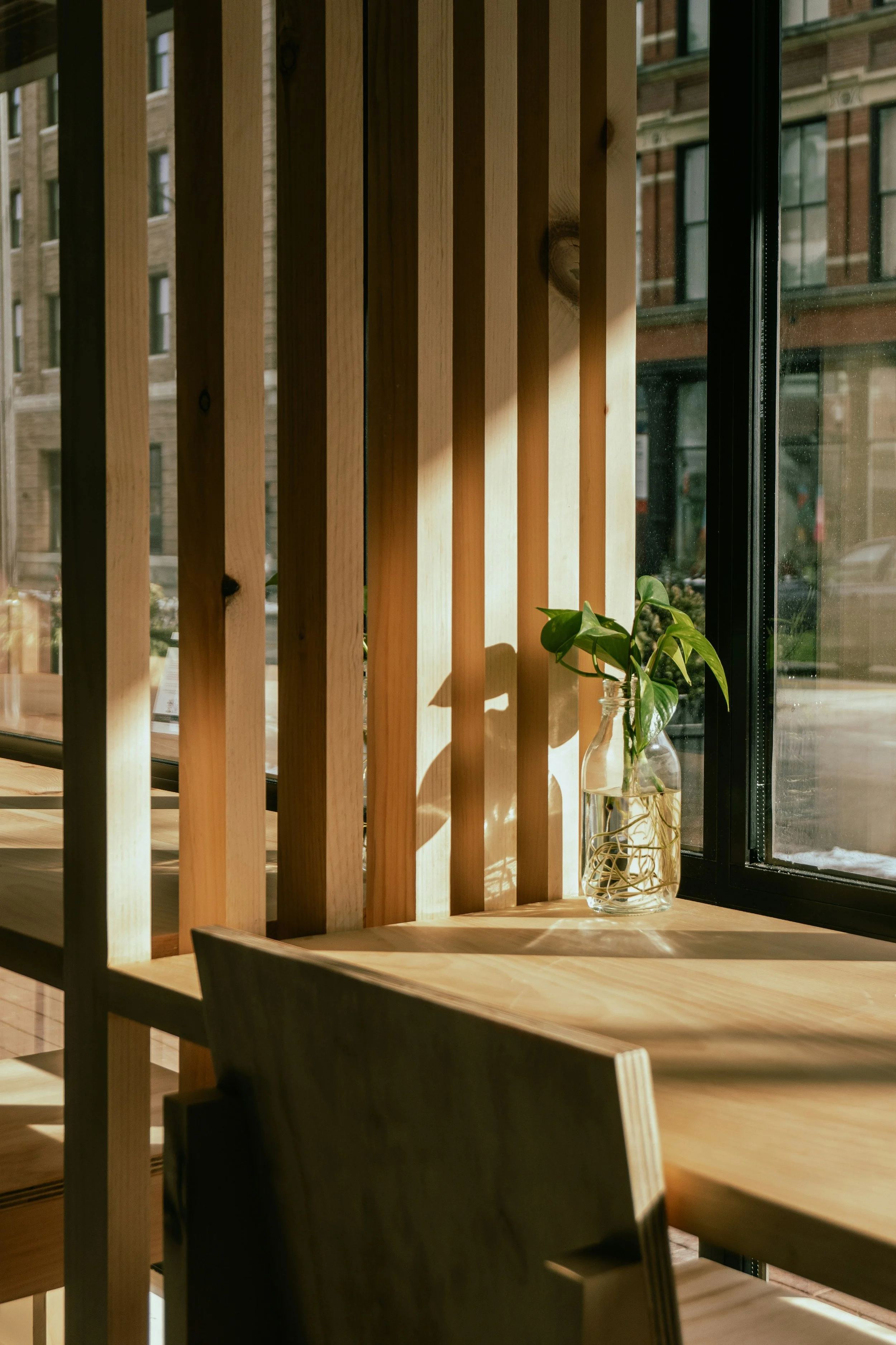 Sunlight streaming through a window onto a wooden table with a glass vase containing a green plant.