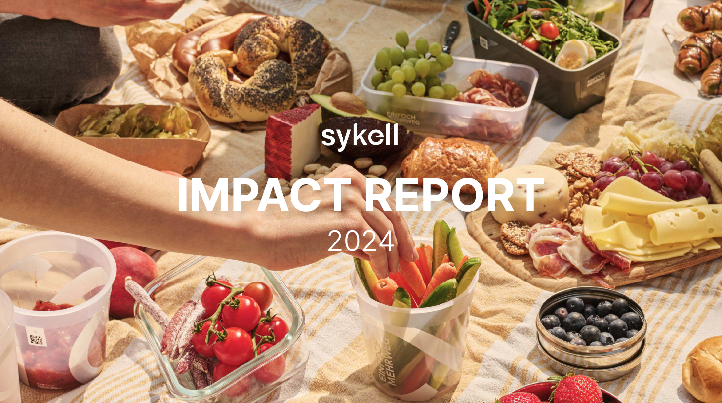 Sykell Impact Report, 2024
